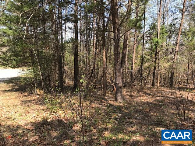 00 HIDEAWAY RDG, STANARDSVILLE, Virginia 22973, ,Land,00 HIDEAWAY RDG,675312 MLS # 675312 00 HIDEAWAY RDG, STANARDSVILLE, Virginia 22973, ,Land,00 HIDEAWAY RDG,675312 MLS # 675312
