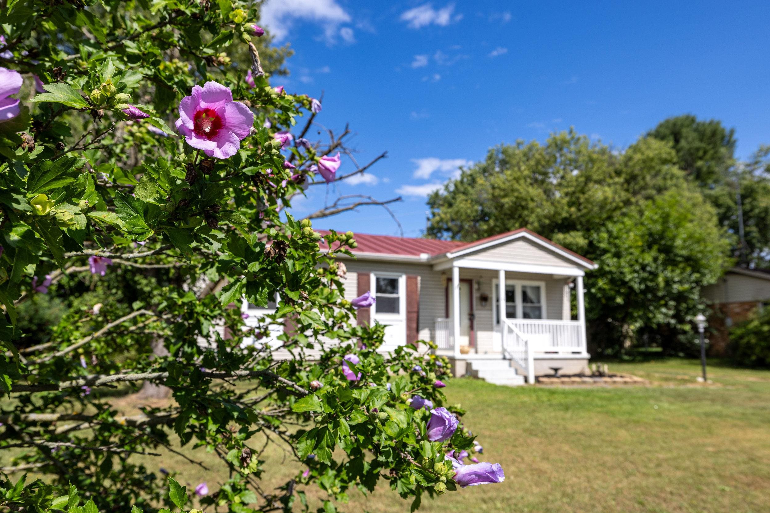 16 SHEN VALLEY DR, WEYERS CAVE, Virginia 22846, 3 Bedrooms Bedrooms, ,1 BathroomBathrooms,Residential,16 SHEN VALLEY DR,680196 MLS # 680196 16 SHEN VALLEY DR, WEYERS CAVE, Virginia 22846, 3 Bedrooms Bedrooms, ,1 BathroomBathrooms,Residential,16 SHEN VALLEY DR,680196 MLS # 680196