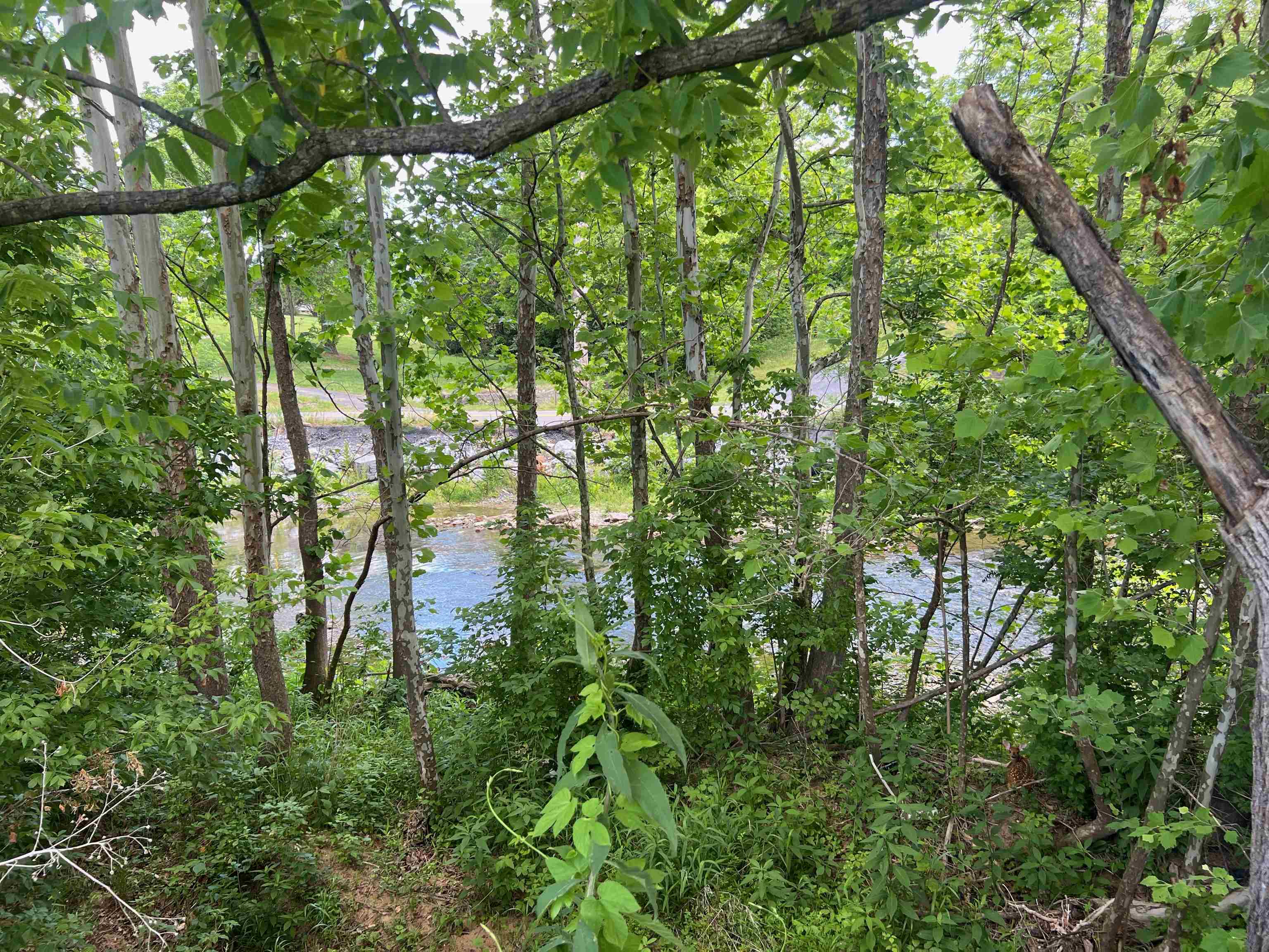 94 MILL POND RD, VERONA, Virginia 24482, 5 Bedrooms Bedrooms, ,3 BathroomsBathrooms,Residential,94 MILL POND RD,678897 MLS # 678897 94 MILL POND RD, VERONA, Virginia 24482, 5 Bedrooms Bedrooms, ,3 BathroomsBathrooms,Residential,94 MILL POND RD,678897 MLS # 678897