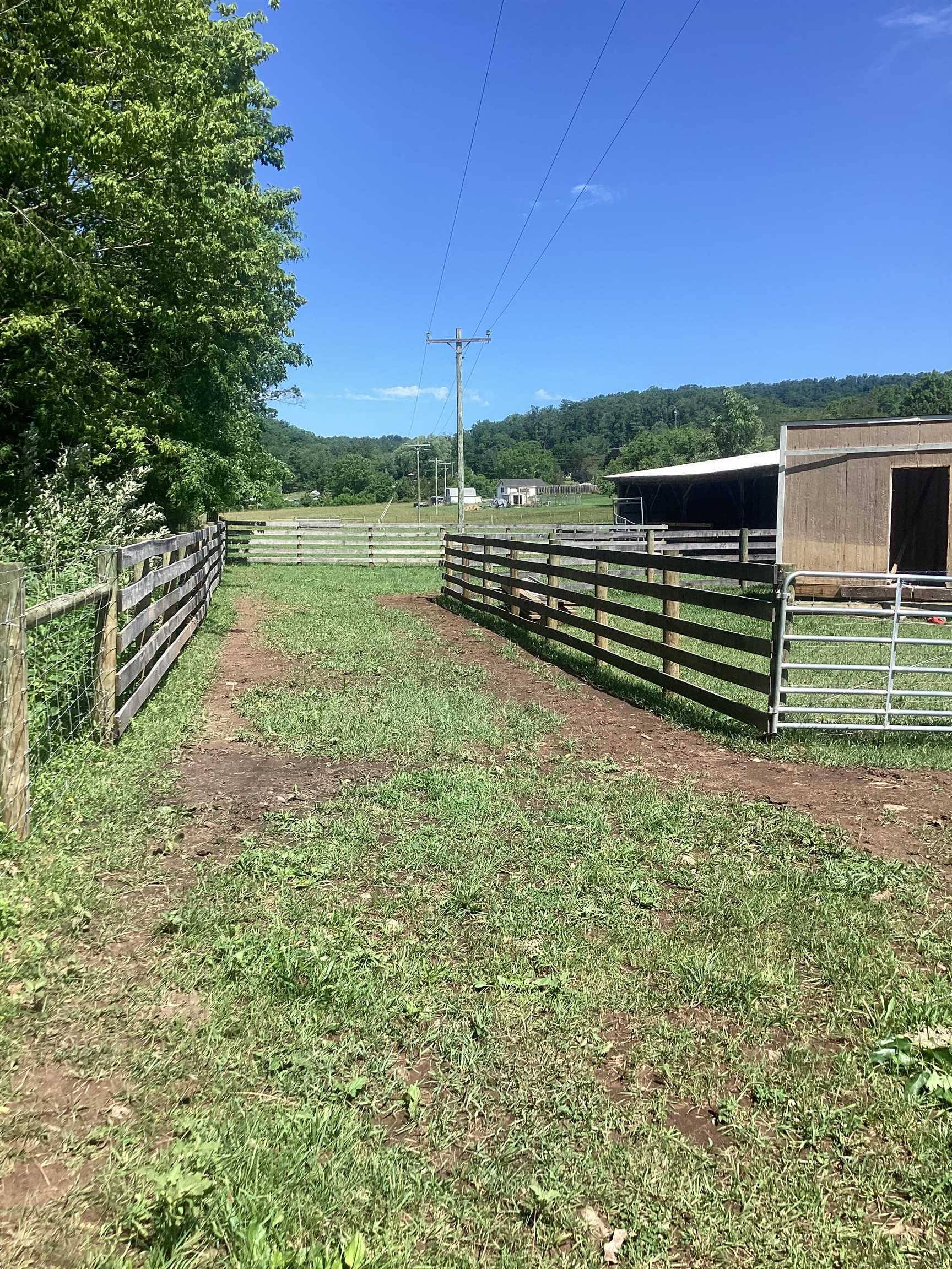 0 ORKNEY GRADE, MOUNT JACKSON, Virginia 22842, ,Land,0 ORKNEY GRADE,678431 MLS # 678431 0 ORKNEY GRADE, MOUNT JACKSON, Virginia 22842, ,Land,0 ORKNEY GRADE,678431 MLS # 678431