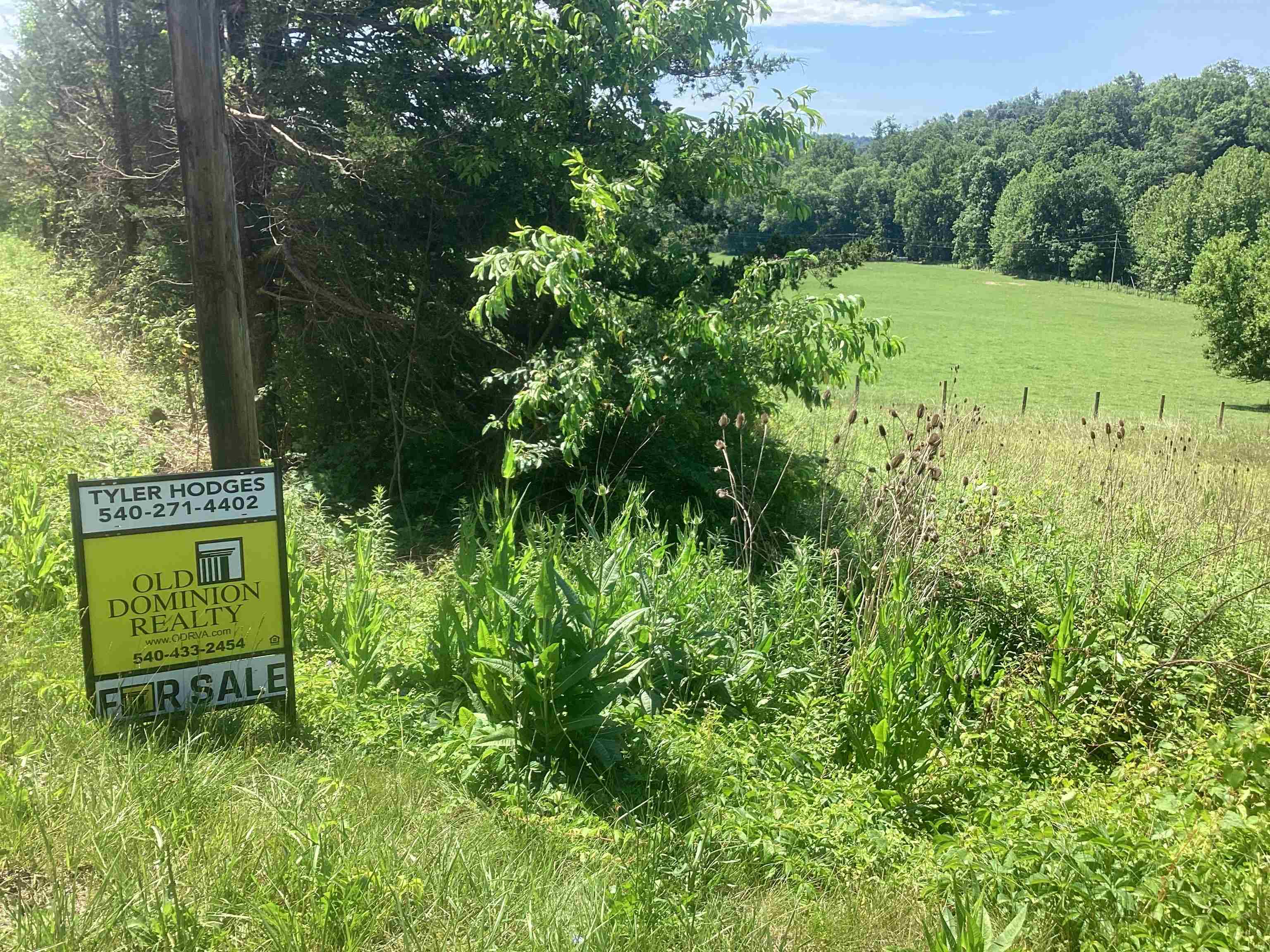 0 ORKNEY GRADE, MOUNT JACKSON, Virginia 22842, ,Land,0 ORKNEY GRADE,678431 MLS # 678431 0 ORKNEY GRADE, MOUNT JACKSON, Virginia 22842, ,Land,0 ORKNEY GRADE,678431 MLS # 678431