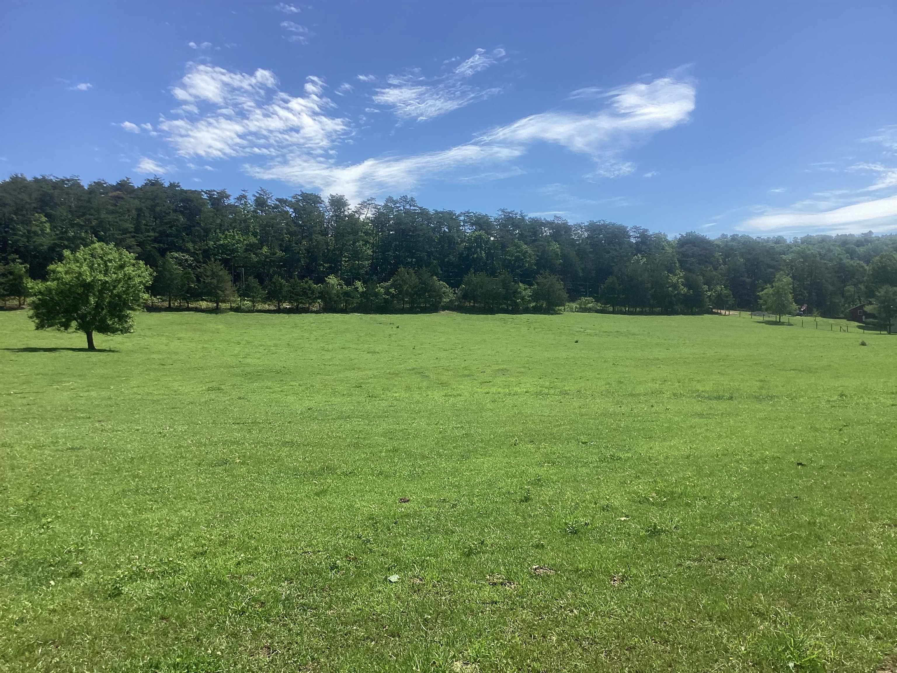 0 ORKNEY GRADE, MOUNT JACKSON, Virginia 22842, ,Land,0 ORKNEY GRADE,678431 MLS # 678431 0 ORKNEY GRADE, MOUNT JACKSON, Virginia 22842, ,Land,0 ORKNEY GRADE,678431 MLS # 678431
