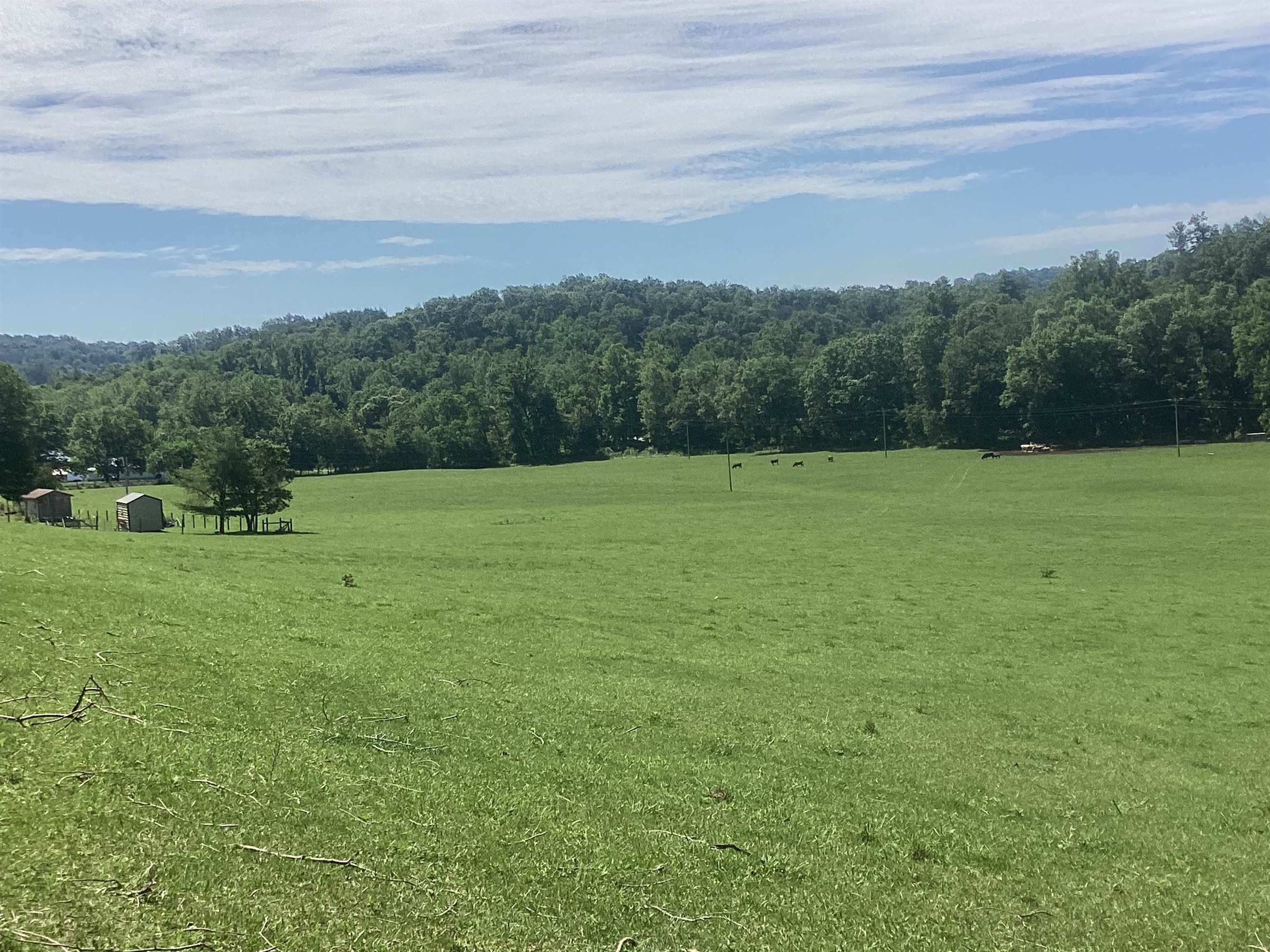 0 ORKNEY GRADE, MOUNT JACKSON, Virginia 22842, ,Land,0 ORKNEY GRADE,678431 MLS # 678431 0 ORKNEY GRADE, MOUNT JACKSON, Virginia 22842, ,Land,0 ORKNEY GRADE,678431 MLS # 678431