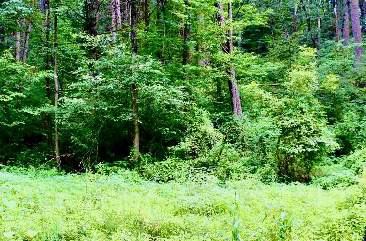 TBD SHELL HOLLOW LN, DAYTON, Virginia 22821, ,Land,TBD SHELL HOLLOW LN,680228 MLS # 680228