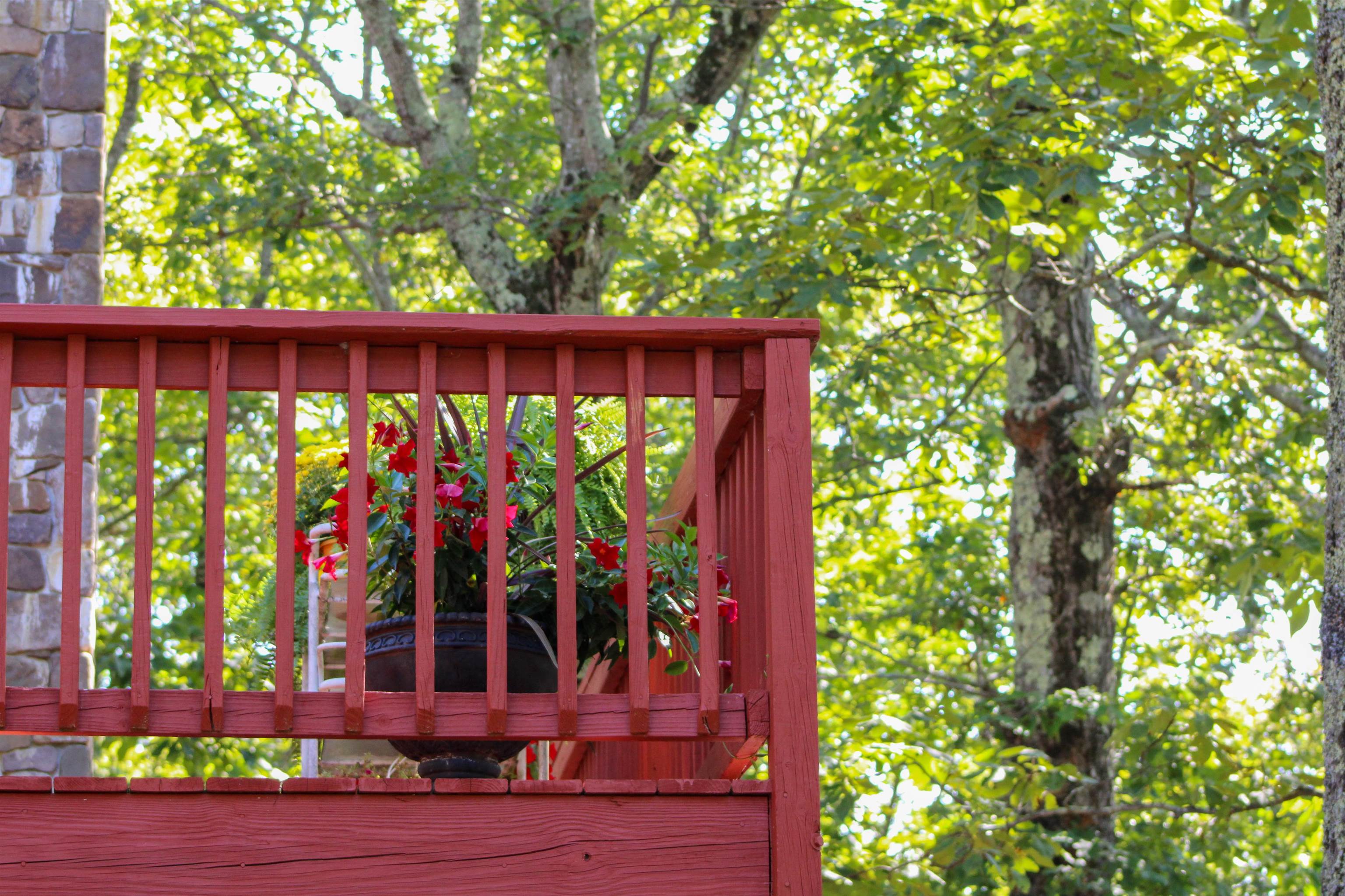 781 DEVILS KNOB LOOP, WINTERGREEN RESORT, Virginia 22967, 3 Bedrooms Bedrooms, ,3 BathroomsBathrooms,Residential,781 DEVILS KNOB LOOP,669248 MLS # 669248 781 DEVILS KNOB LOOP, WINTERGREEN RESORT, Virginia 22967, 3 Bedrooms Bedrooms, ,3 BathroomsBathrooms,Residential,781 DEVILS KNOB LOOP,669248 MLS # 669248