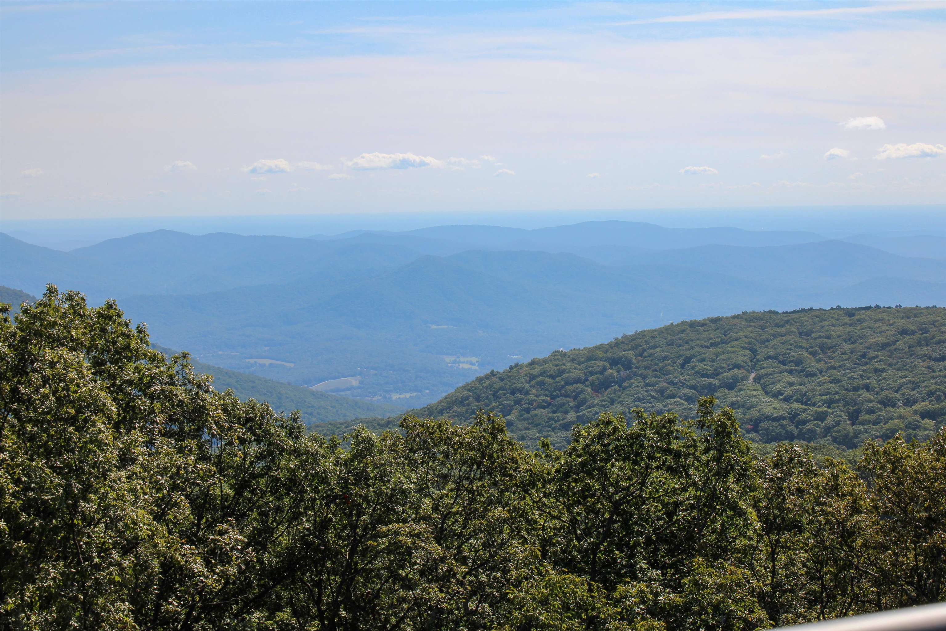 781 DEVILS KNOB LOOP, WINTERGREEN RESORT, Virginia 22967, 3 Bedrooms Bedrooms, ,3 BathroomsBathrooms,Residential,781 DEVILS KNOB LOOP,669248 MLS # 669248 781 DEVILS KNOB LOOP, WINTERGREEN RESORT, Virginia 22967, 3 Bedrooms Bedrooms, ,3 BathroomsBathrooms,Residential,781 DEVILS KNOB LOOP,669248 MLS # 669248