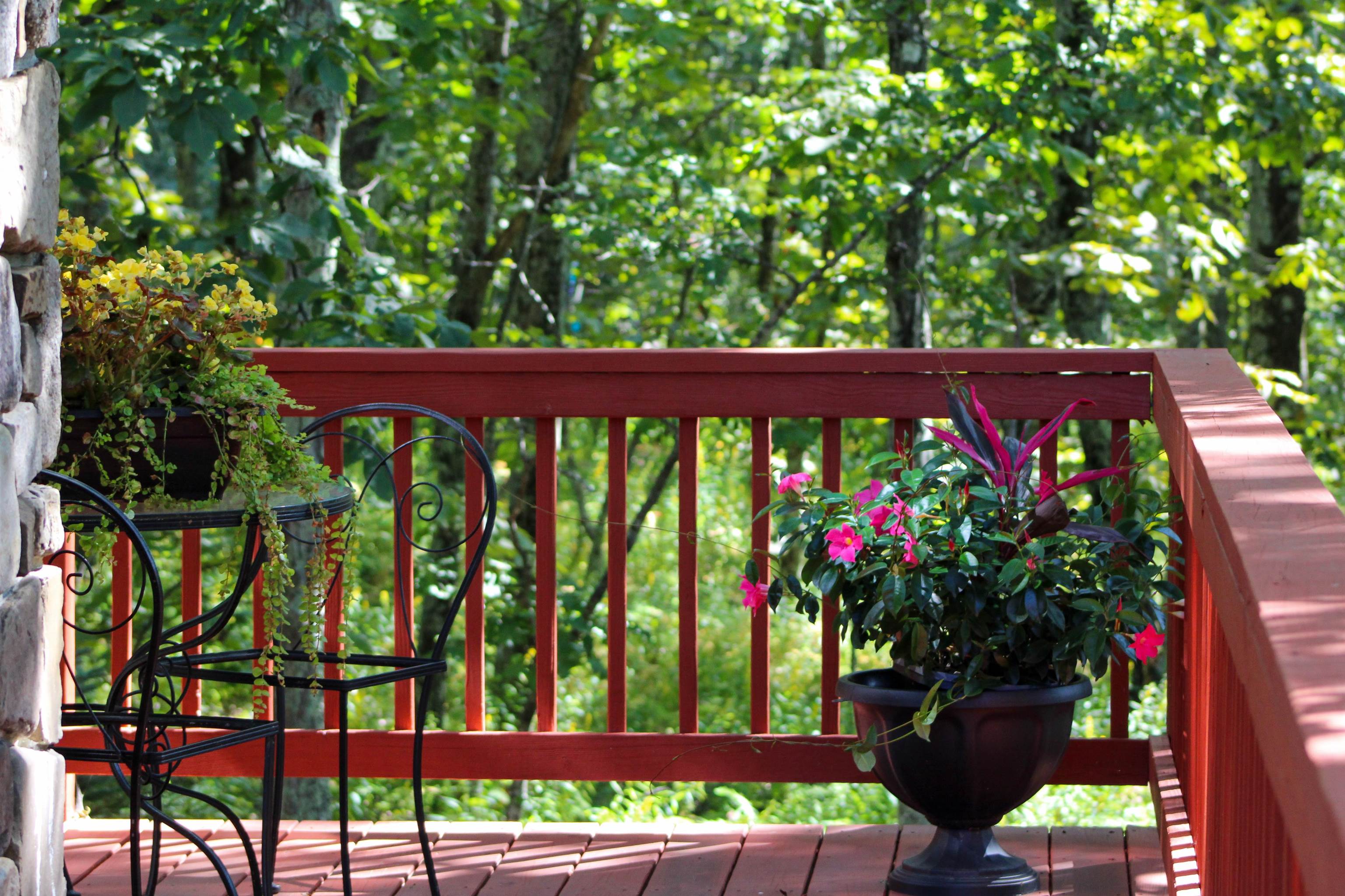 781 DEVILS KNOB LOOP, WINTERGREEN RESORT, Virginia 22967, 3 Bedrooms Bedrooms, ,3 BathroomsBathrooms,Residential,781 DEVILS KNOB LOOP,669248 MLS # 669248 781 DEVILS KNOB LOOP, WINTERGREEN RESORT, Virginia 22967, 3 Bedrooms Bedrooms, ,3 BathroomsBathrooms,Residential,781 DEVILS KNOB LOOP,669248 MLS # 669248