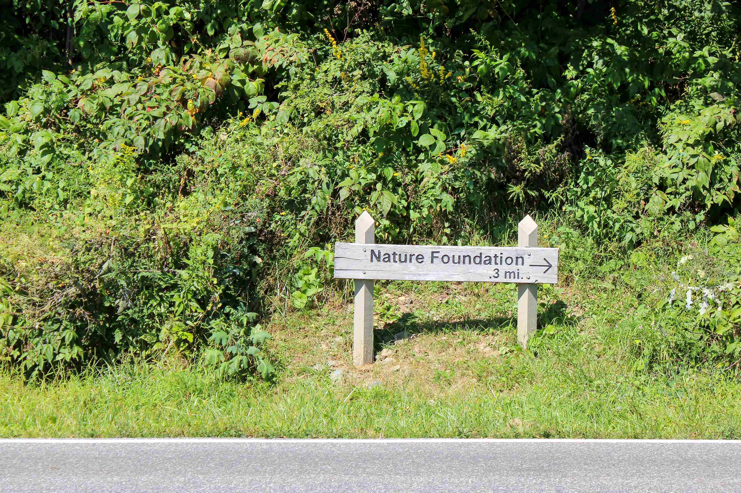 781 DEVILS KNOB LOOP, WINTERGREEN RESORT, Virginia 22967, 3 Bedrooms Bedrooms, ,3 BathroomsBathrooms,Residential,781 DEVILS KNOB LOOP,669248 MLS # 669248 781 DEVILS KNOB LOOP, WINTERGREEN RESORT, Virginia 22967, 3 Bedrooms Bedrooms, ,3 BathroomsBathrooms,Residential,781 DEVILS KNOB LOOP,669248 MLS # 669248