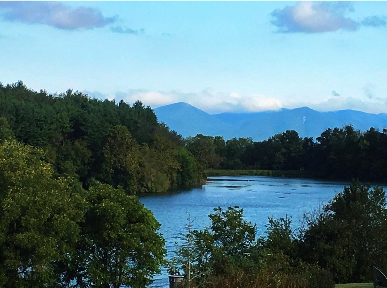 1.74 AC MASSANETTA SPRINGS RD, ROCKINGHAM, Virginia 22801, ,Land,The Observatory,1.74 AC MASSANETTA SPRINGS RD,672836 MLS # 672836 1.74 AC MASSANETTA SPRINGS RD, ROCKINGHAM, Virginia 22801, ,Land,The Observatory,1.74 AC MASSANETTA SPRINGS RD,672836 MLS # 672836