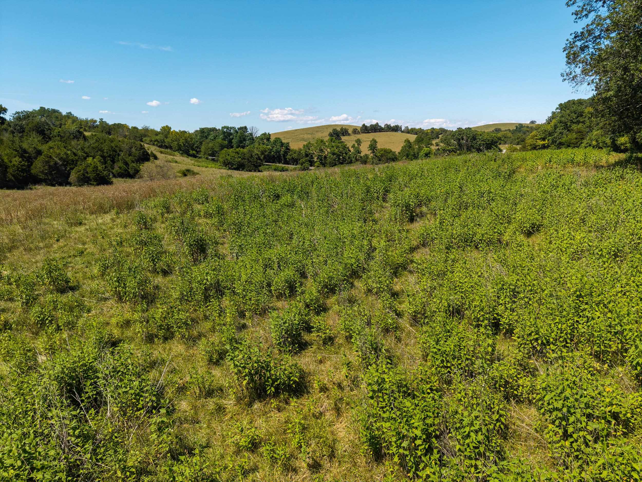0 TRINITY CHURCH RD, ROCKINGHAM, Virginia 22802, ,Land,0 TRINITY CHURCH RD,680266 MLS # 680266 0 TRINITY CHURCH RD, ROCKINGHAM, Virginia 22802, ,Land,0 TRINITY CHURCH RD,680266 MLS # 680266