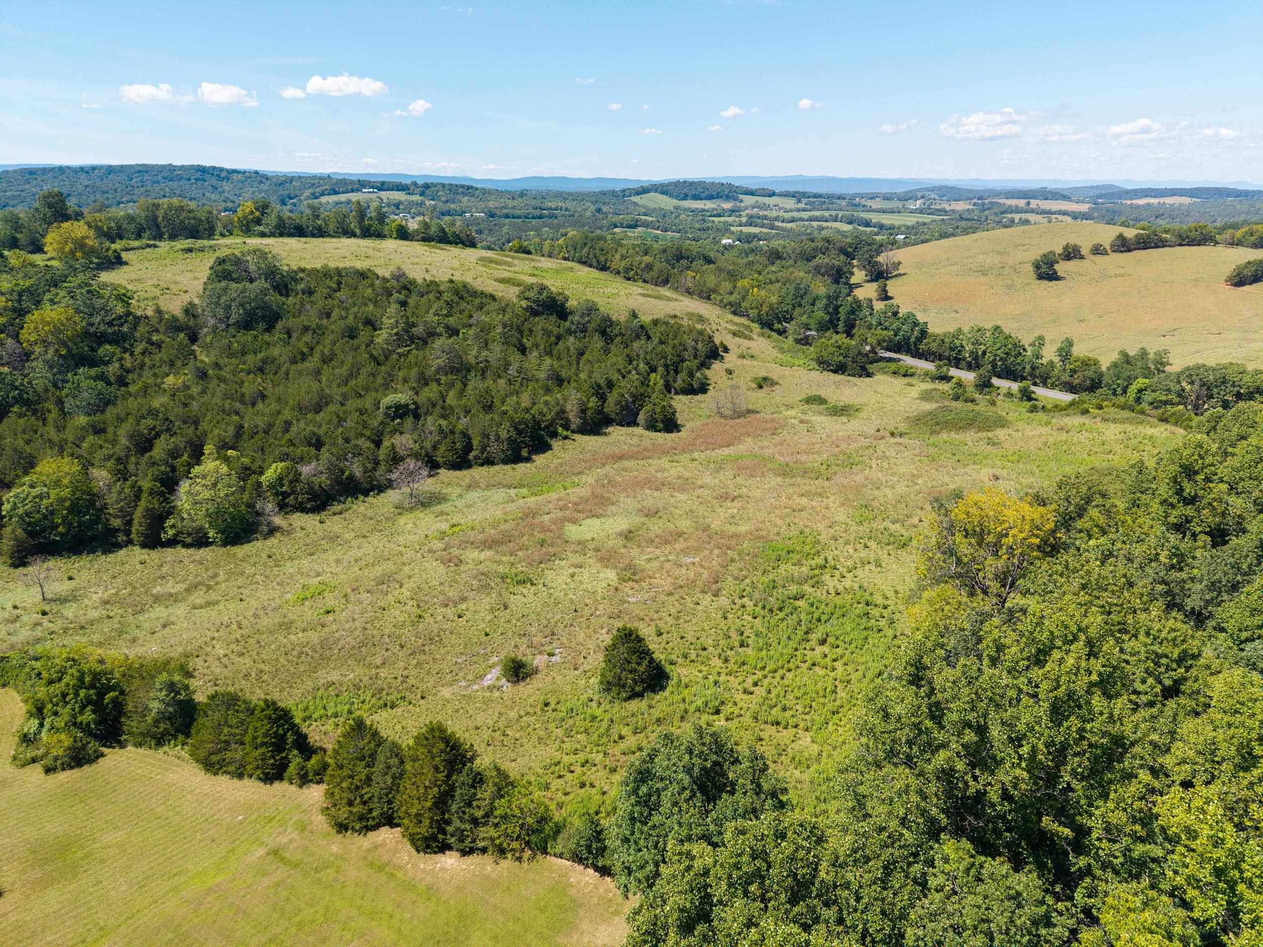 00 TRINITY CHURCH RD, ROCKINGHAM, Virginia 22802, ,Land,00 TRINITY CHURCH RD,680267 MLS # 680267 00 TRINITY CHURCH RD, ROCKINGHAM, Virginia 22802, ,Land,00 TRINITY CHURCH RD,680267 MLS # 680267