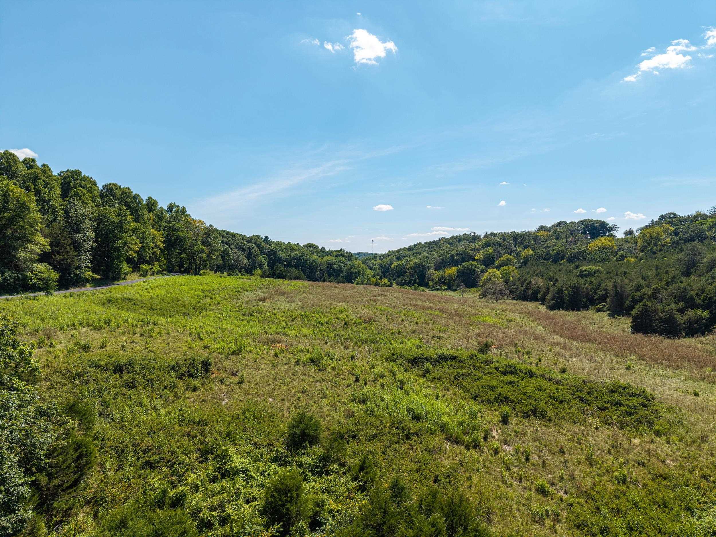 00 TRINITY CHURCH RD, ROCKINGHAM, Virginia 22802, ,Land,00 TRINITY CHURCH RD,680267 MLS # 680267 00 TRINITY CHURCH RD, ROCKINGHAM, Virginia 22802, ,Land,00 TRINITY CHURCH RD,680267 MLS # 680267