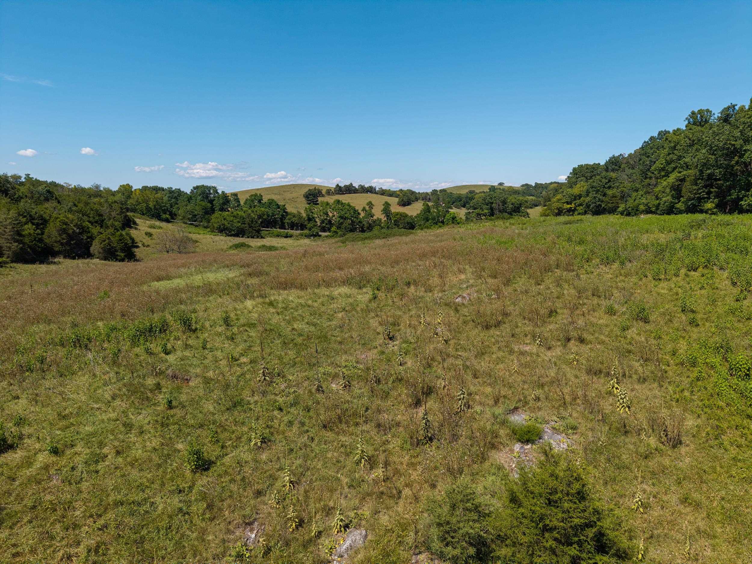 00 TRINITY CHURCH RD, ROCKINGHAM, Virginia 22802, ,Land,00 TRINITY CHURCH RD,680267 MLS # 680267 00 TRINITY CHURCH RD, ROCKINGHAM, Virginia 22802, ,Land,00 TRINITY CHURCH RD,680267 MLS # 680267