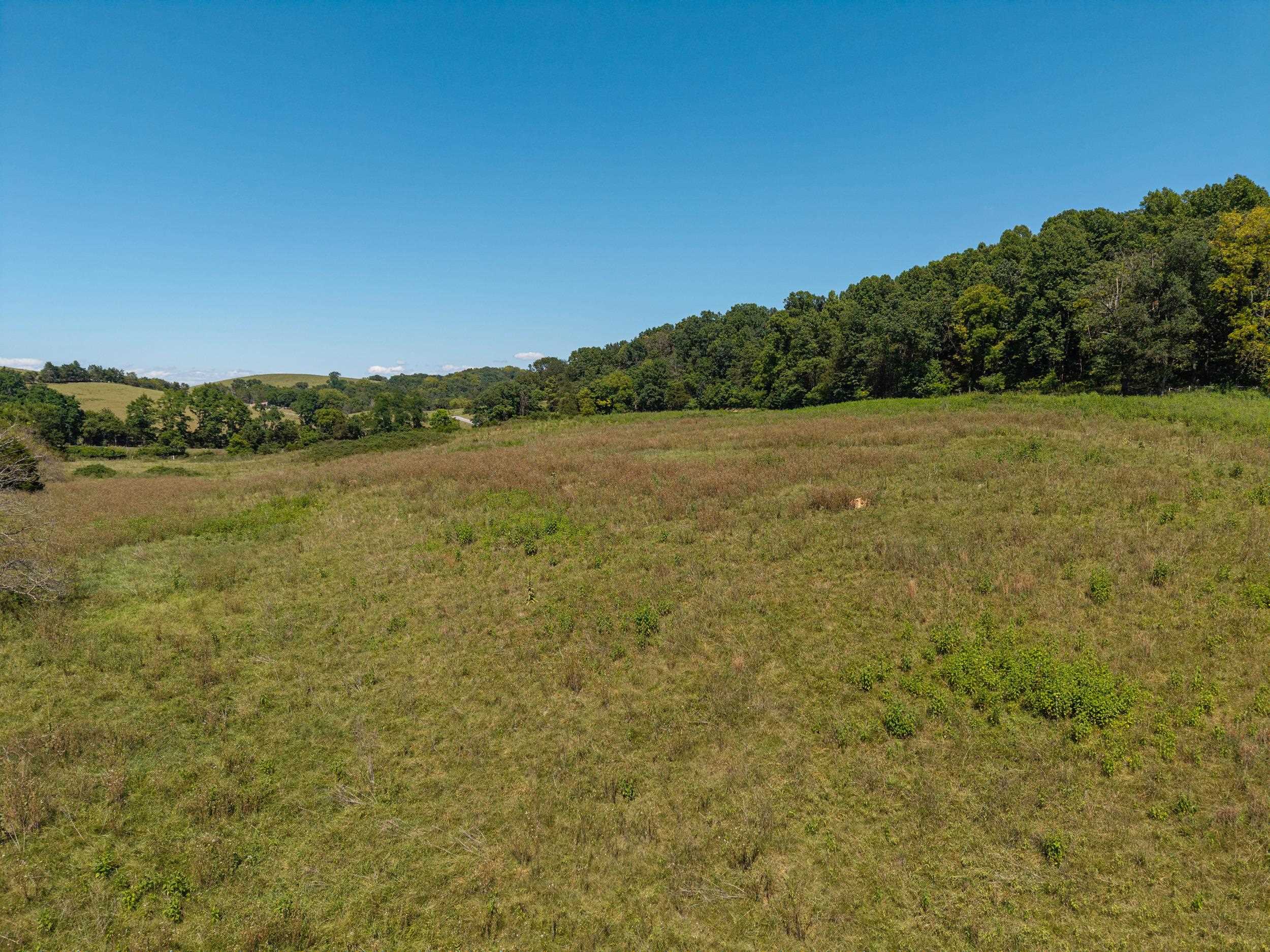 00 TRINITY CHURCH RD, ROCKINGHAM, Virginia 22802, ,Land,00 TRINITY CHURCH RD,680267 MLS # 680267 00 TRINITY CHURCH RD, ROCKINGHAM, Virginia 22802, ,Land,00 TRINITY CHURCH RD,680267 MLS # 680267