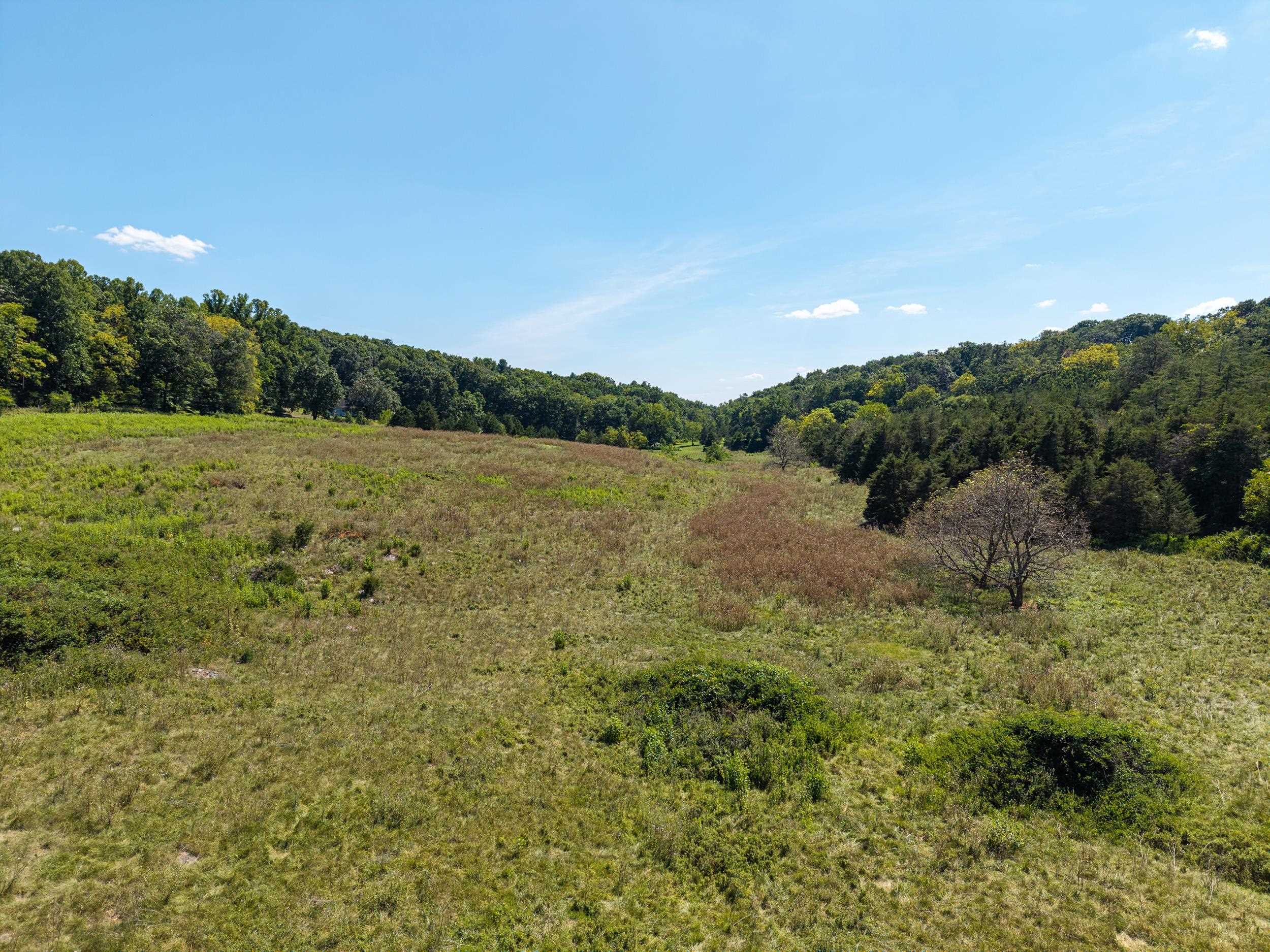 00 TRINITY CHURCH RD, ROCKINGHAM, Virginia 22802, ,Land,00 TRINITY CHURCH RD,680267 MLS # 680267 00 TRINITY CHURCH RD, ROCKINGHAM, Virginia 22802, ,Land,00 TRINITY CHURCH RD,680267 MLS # 680267