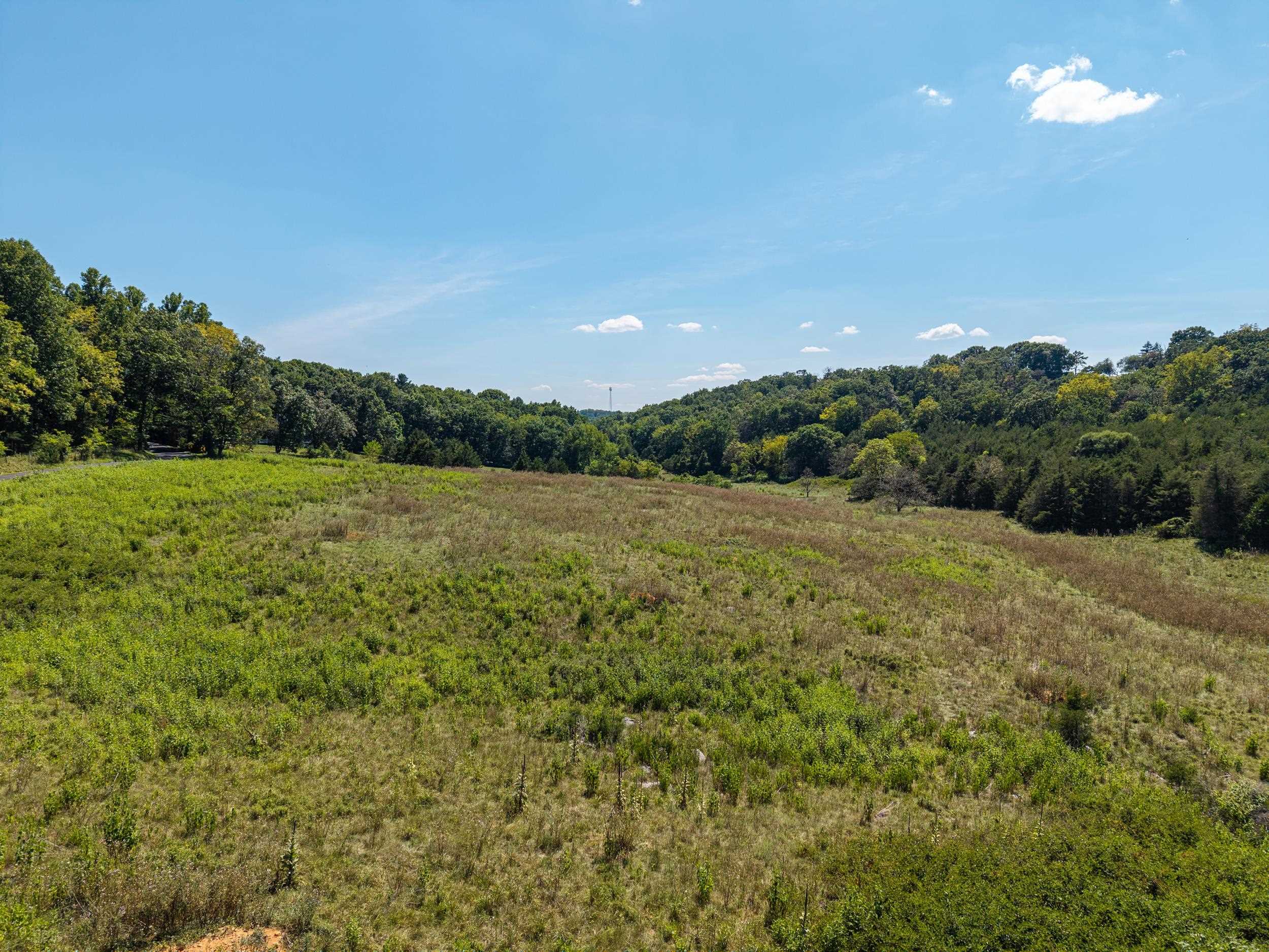 00 TRINITY CHURCH RD, ROCKINGHAM, Virginia 22802, ,Land,00 TRINITY CHURCH RD,680267 MLS # 680267 00 TRINITY CHURCH RD, ROCKINGHAM, Virginia 22802, ,Land,00 TRINITY CHURCH RD,680267 MLS # 680267