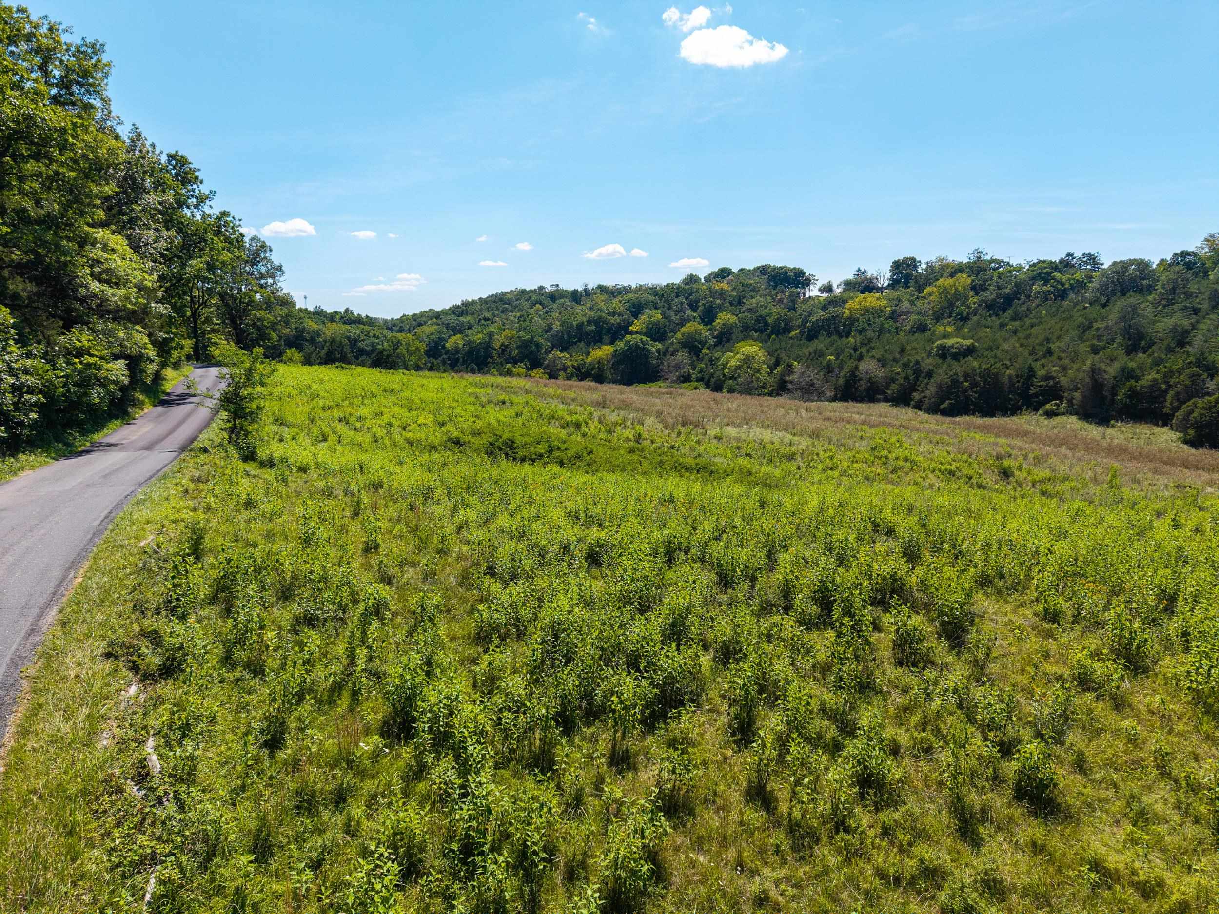 00 TRINITY CHURCH RD, ROCKINGHAM, Virginia 22802, ,Land,00 TRINITY CHURCH RD,680267 MLS # 680267 00 TRINITY CHURCH RD, ROCKINGHAM, Virginia 22802, ,Land,00 TRINITY CHURCH RD,680267 MLS # 680267