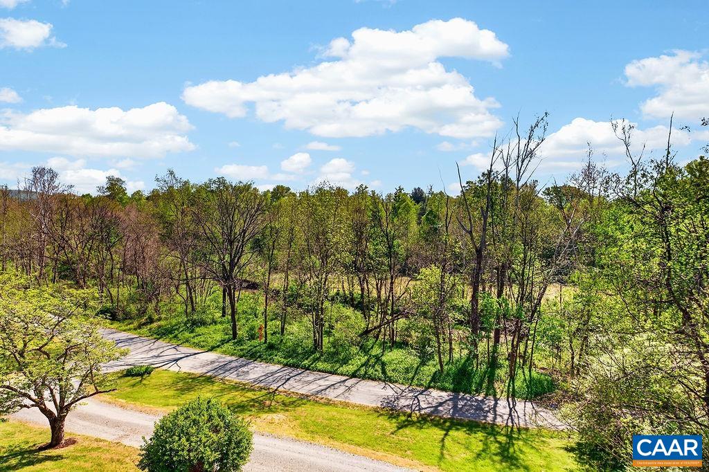 189 OLD ROSELAND RD, ROSELAND, Virginia 22967, 3 Bedrooms Bedrooms, ,3 BathroomsBathrooms,Residential,189 OLD ROSELAND RD,676371 MLS # 676371 189 OLD ROSELAND RD, ROSELAND, Virginia 22967, 3 Bedrooms Bedrooms, ,3 BathroomsBathrooms,Residential,189 OLD ROSELAND RD,676371 MLS # 676371