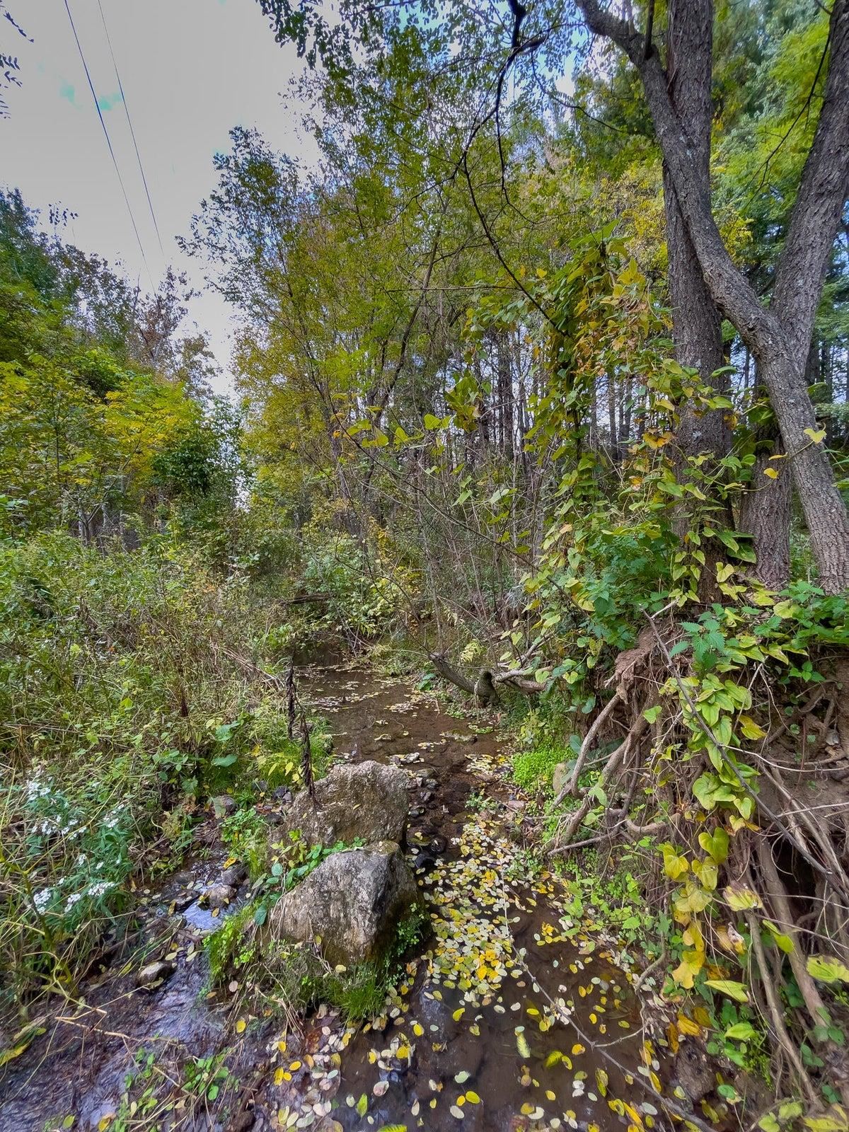 Stream running through property.