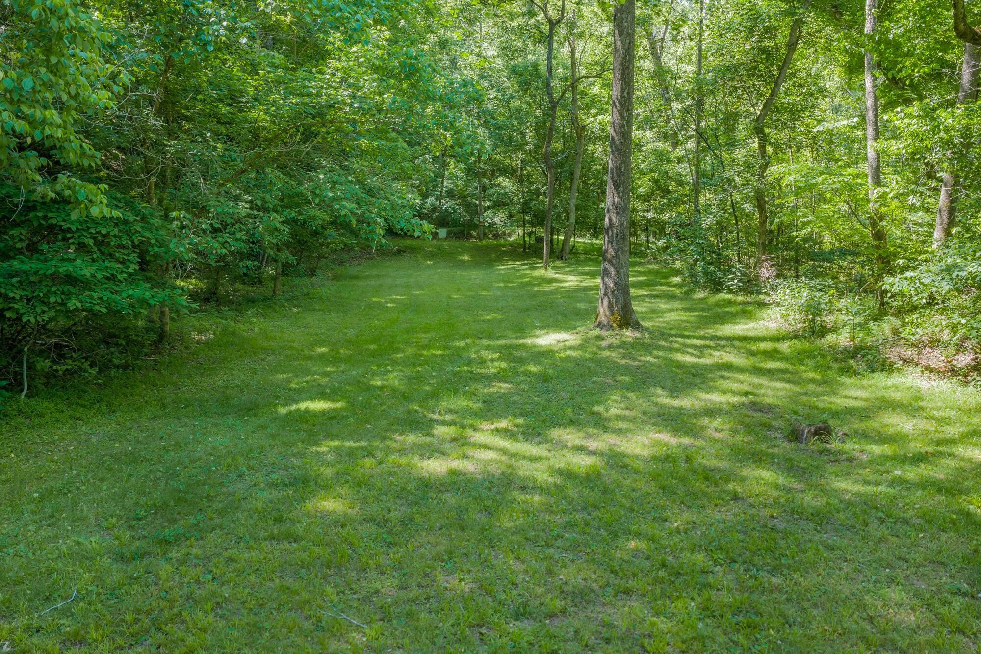 More campground area.