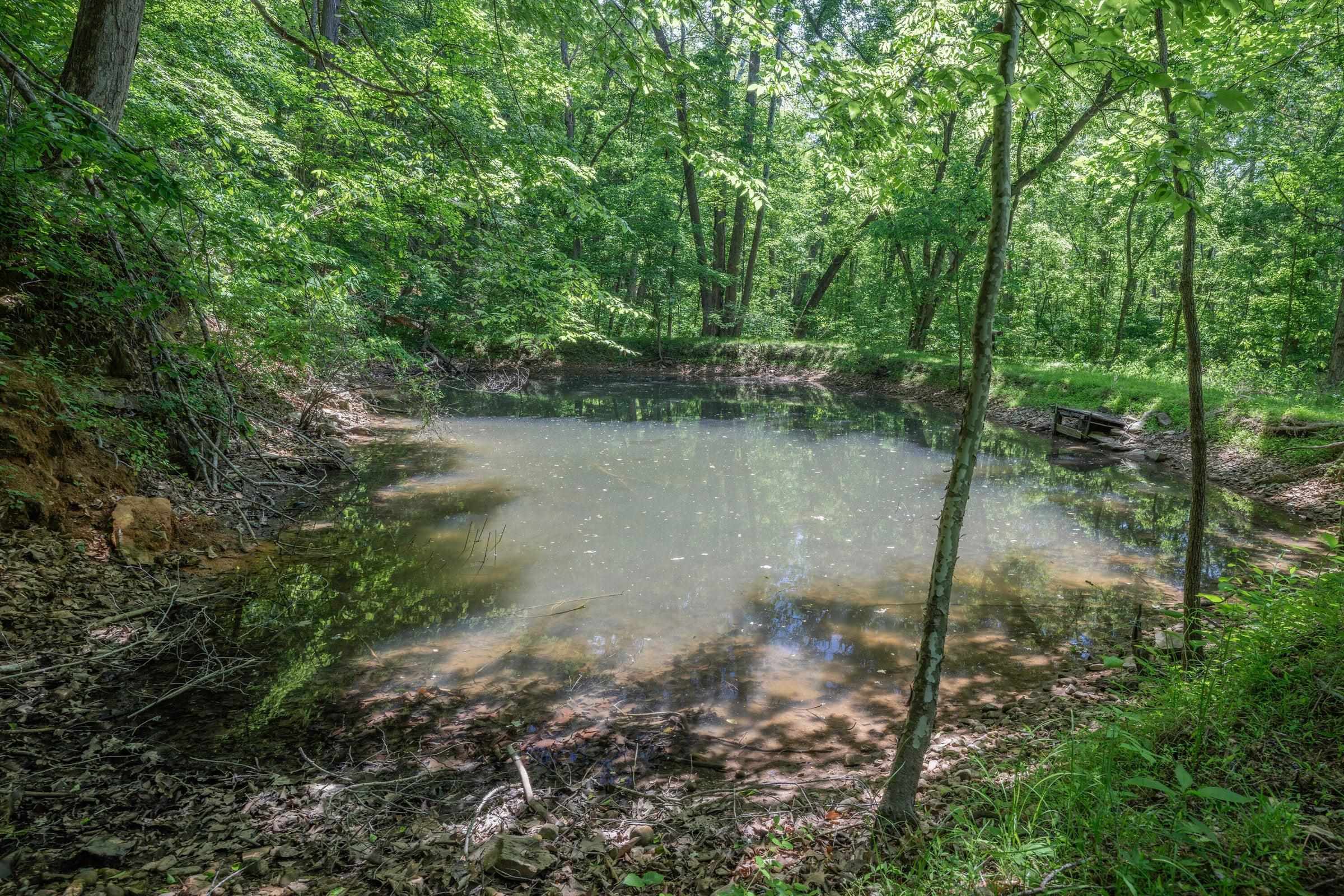 Spring fed pond!