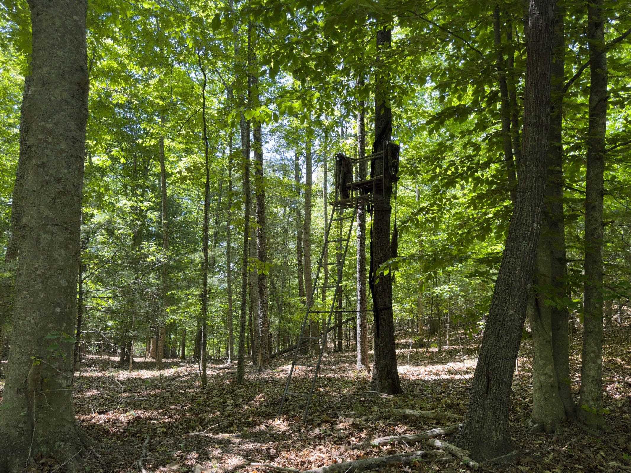 Perfect for hunting