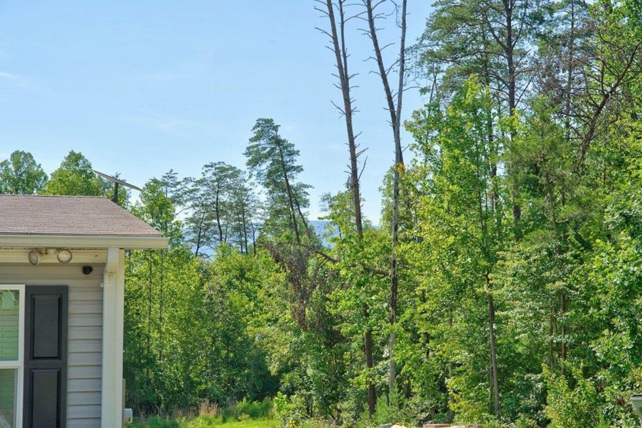 54 SPRINGBRANCH TRL, STANARDSVILLE, Virginia 22973, 4 Bedrooms Bedrooms, ,2 BathroomsBathrooms,Residential,54 SPRINGBRANCH TRL,680280 MLS # 680280