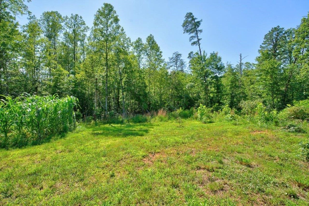 54 SPRINGBRANCH TRL, STANARDSVILLE, Virginia 22973, 4 Bedrooms Bedrooms, ,2 BathroomsBathrooms,Residential,54 SPRINGBRANCH TRL,680280 MLS # 680280
