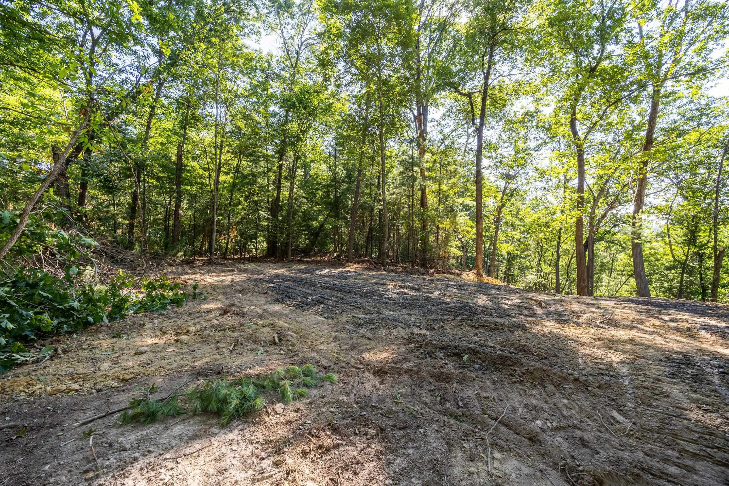 Parcel A ALUM SPRINGS RD, EDINBURG, Virginia 22824, ,Land,Parcel A ALUM SPRINGS RD,680321 MLS # 680321 Parcel A ALUM SPRINGS RD, EDINBURG, Virginia 22824, ,Land,Parcel A ALUM SPRINGS RD,680321 MLS # 680321