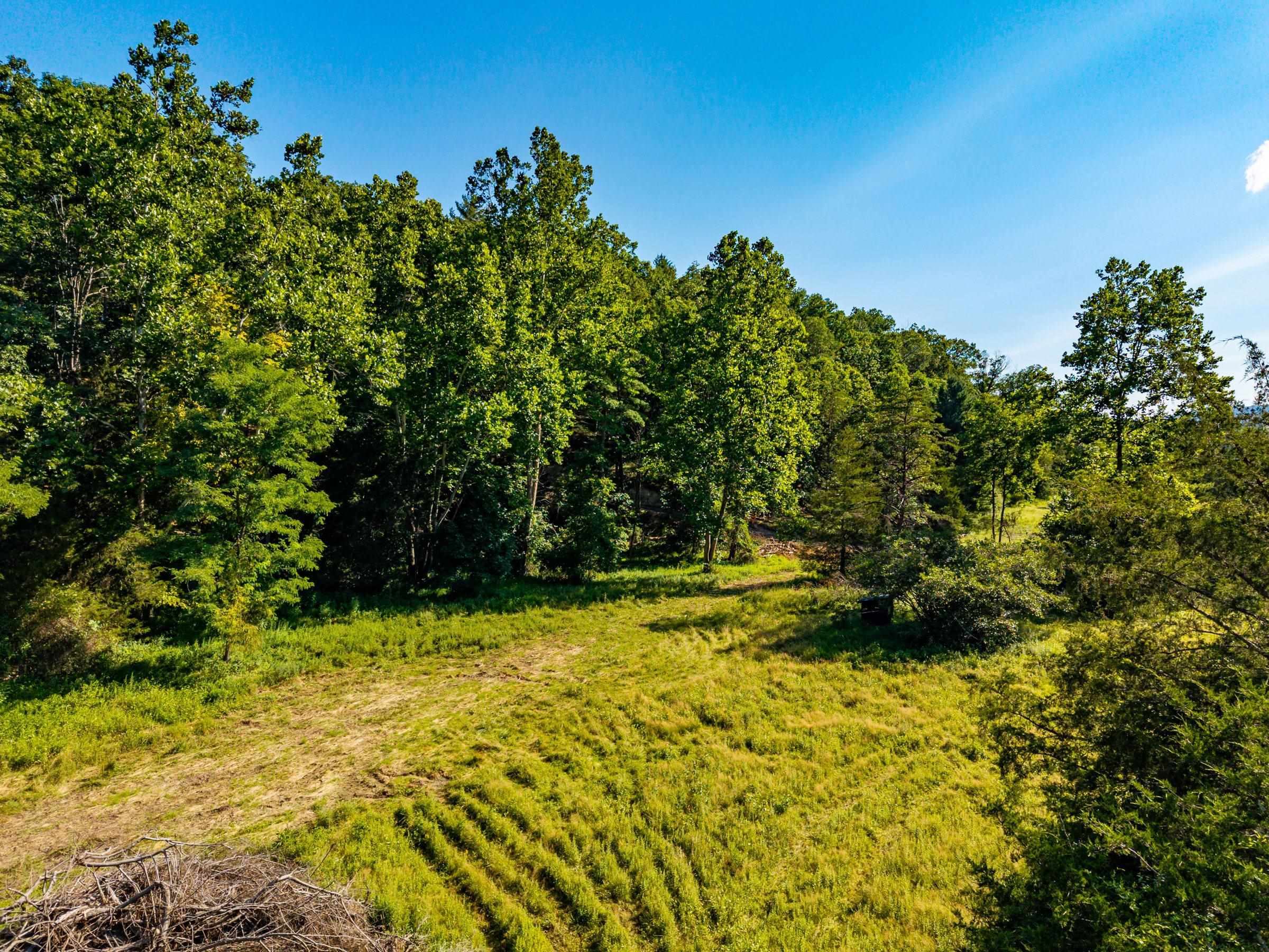 Parcel A ALUM SPRINGS RD, EDINBURG, Virginia 22824, ,Land,Parcel A ALUM SPRINGS RD,680321 MLS # 680321 Parcel A ALUM SPRINGS RD, EDINBURG, Virginia 22824, ,Land,Parcel A ALUM SPRINGS RD,680321 MLS # 680321