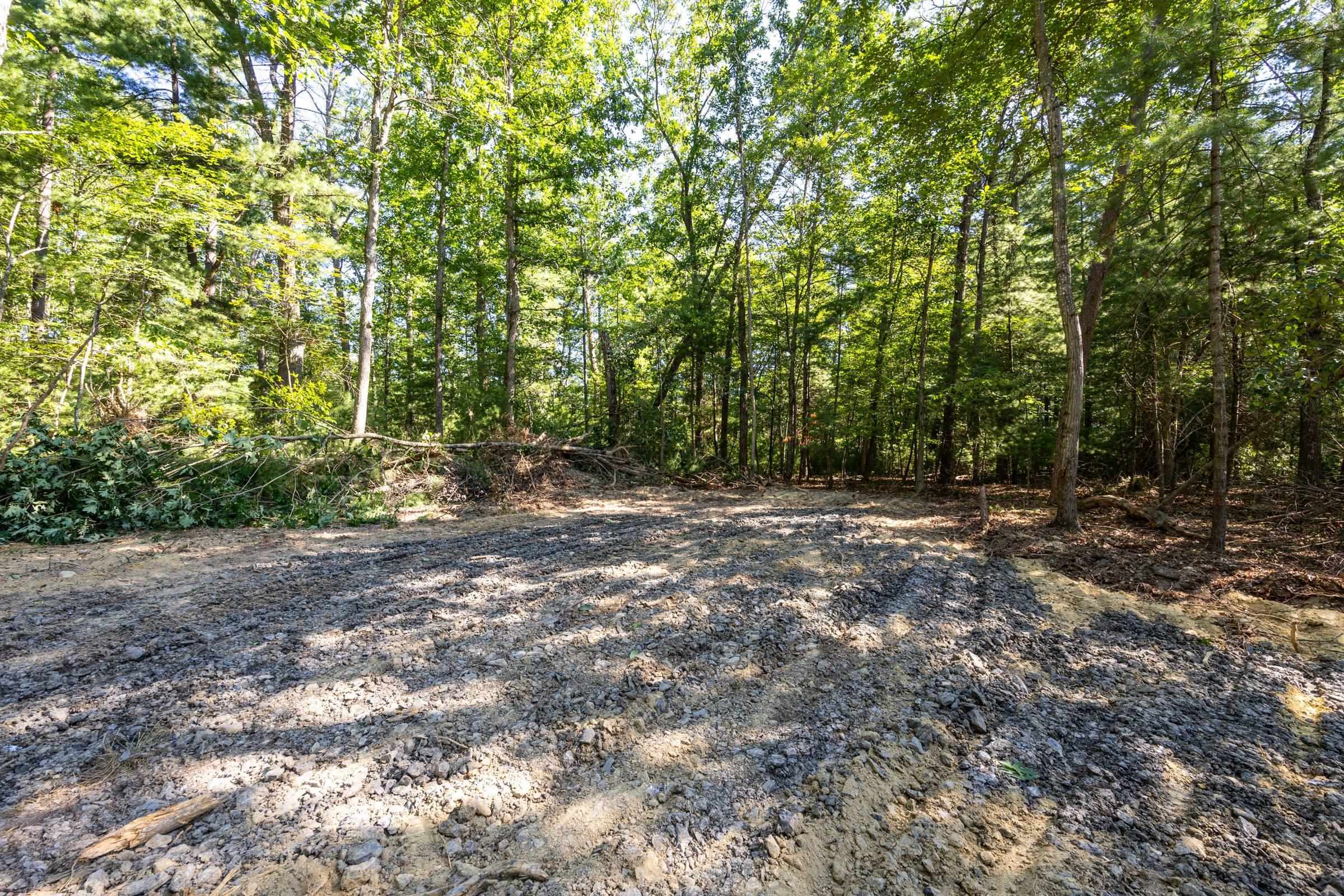 Parcel B ALUM SPRINGS RD, EDINBURG, Virginia 22824, ,Land,Parcel B ALUM SPRINGS RD,680322 MLS # 680322 Parcel B ALUM SPRINGS RD, EDINBURG, Virginia 22824, ,Land,Parcel B ALUM SPRINGS RD,680322 MLS # 680322