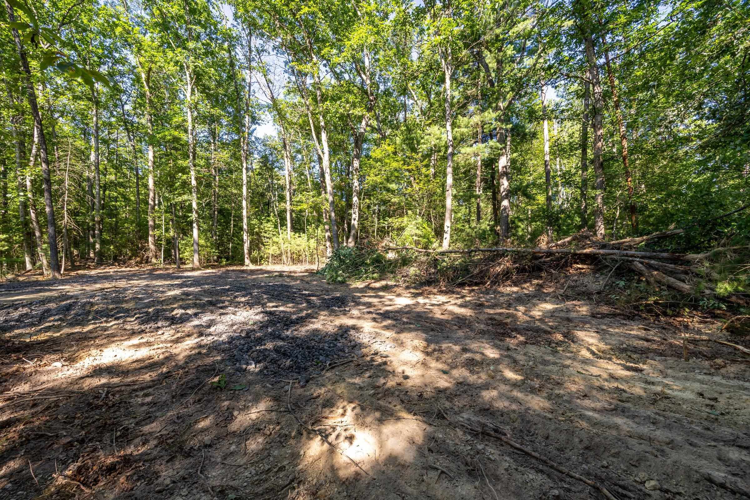 Parcel B ALUM SPRINGS RD, EDINBURG, Virginia 22824, ,Land,Parcel B ALUM SPRINGS RD,680322 MLS # 680322 Parcel B ALUM SPRINGS RD, EDINBURG, Virginia 22824, ,Land,Parcel B ALUM SPRINGS RD,680322 MLS # 680322