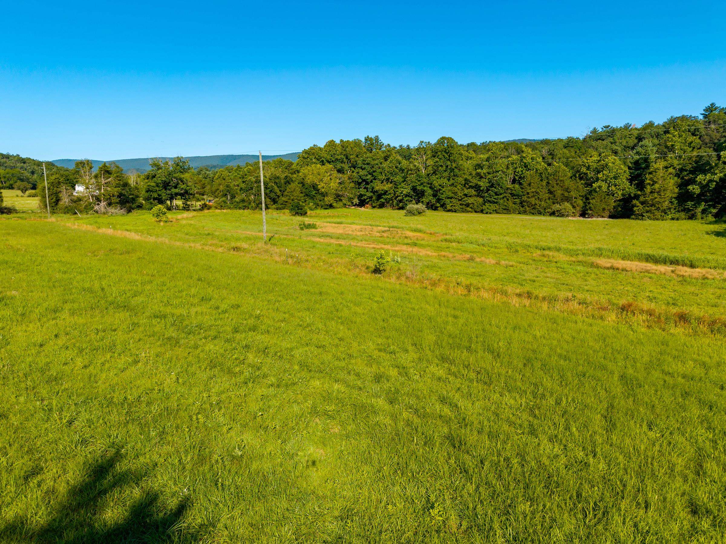 Parcel C ALUM SPRINGS RD, EDINBURG, Virginia 22824, ,Land,Parcel C ALUM SPRINGS RD,680324 MLS # 680324 Parcel C ALUM SPRINGS RD, EDINBURG, Virginia 22824, ,Land,Parcel C ALUM SPRINGS RD,680324 MLS # 680324