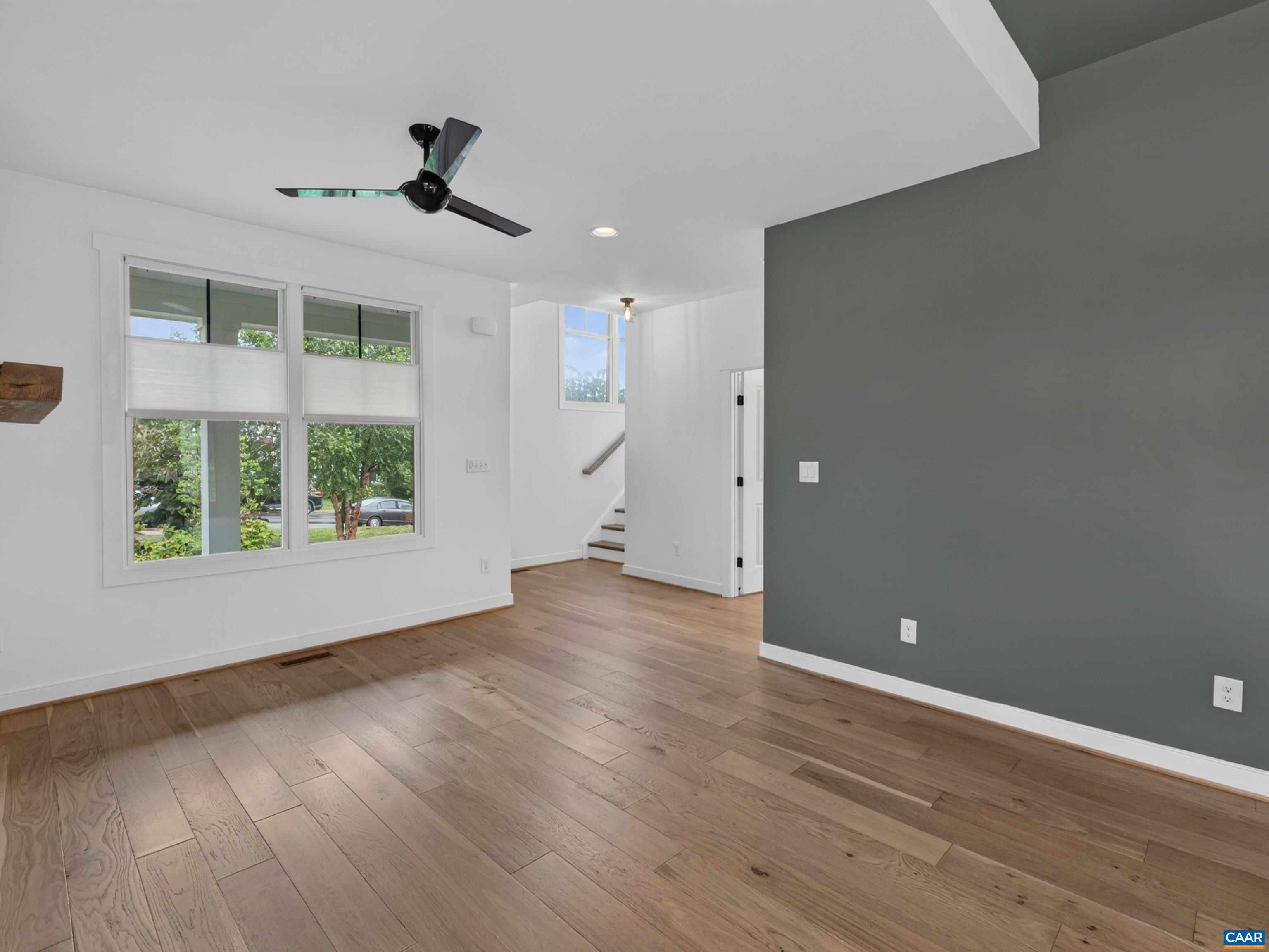 Deep green designer accent wall. Deep green designer accent wall.