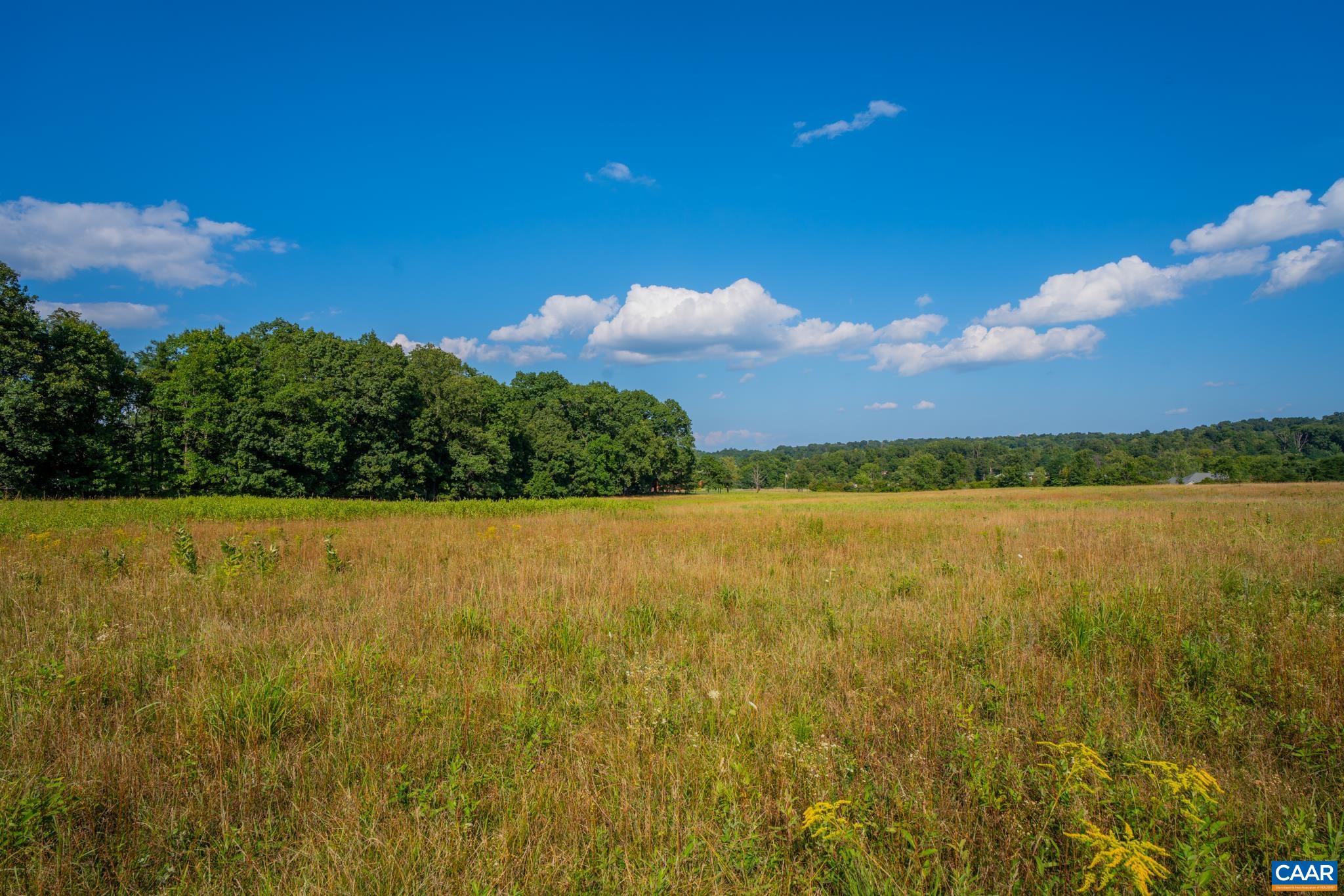 TBD N FROG HOLLOW RD, WINCHESTER, Virginia 22603, ,Farm,TBD N FROG HOLLOW RD,680385 MLS # 680385