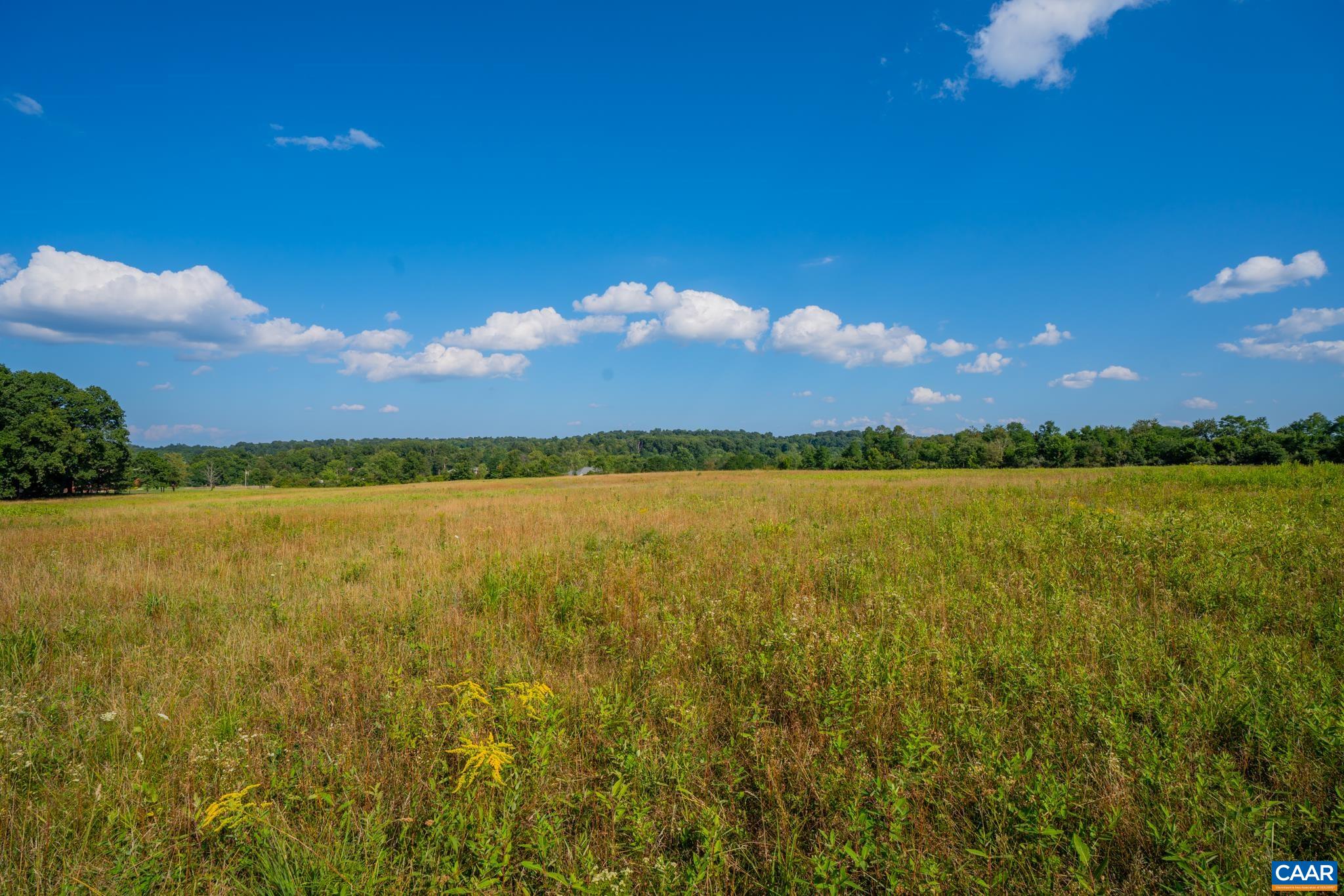 TBD N FROG HOLLOW RD, WINCHESTER, Virginia 22603, ,Farm,TBD N FROG HOLLOW RD,680385 MLS # 680385