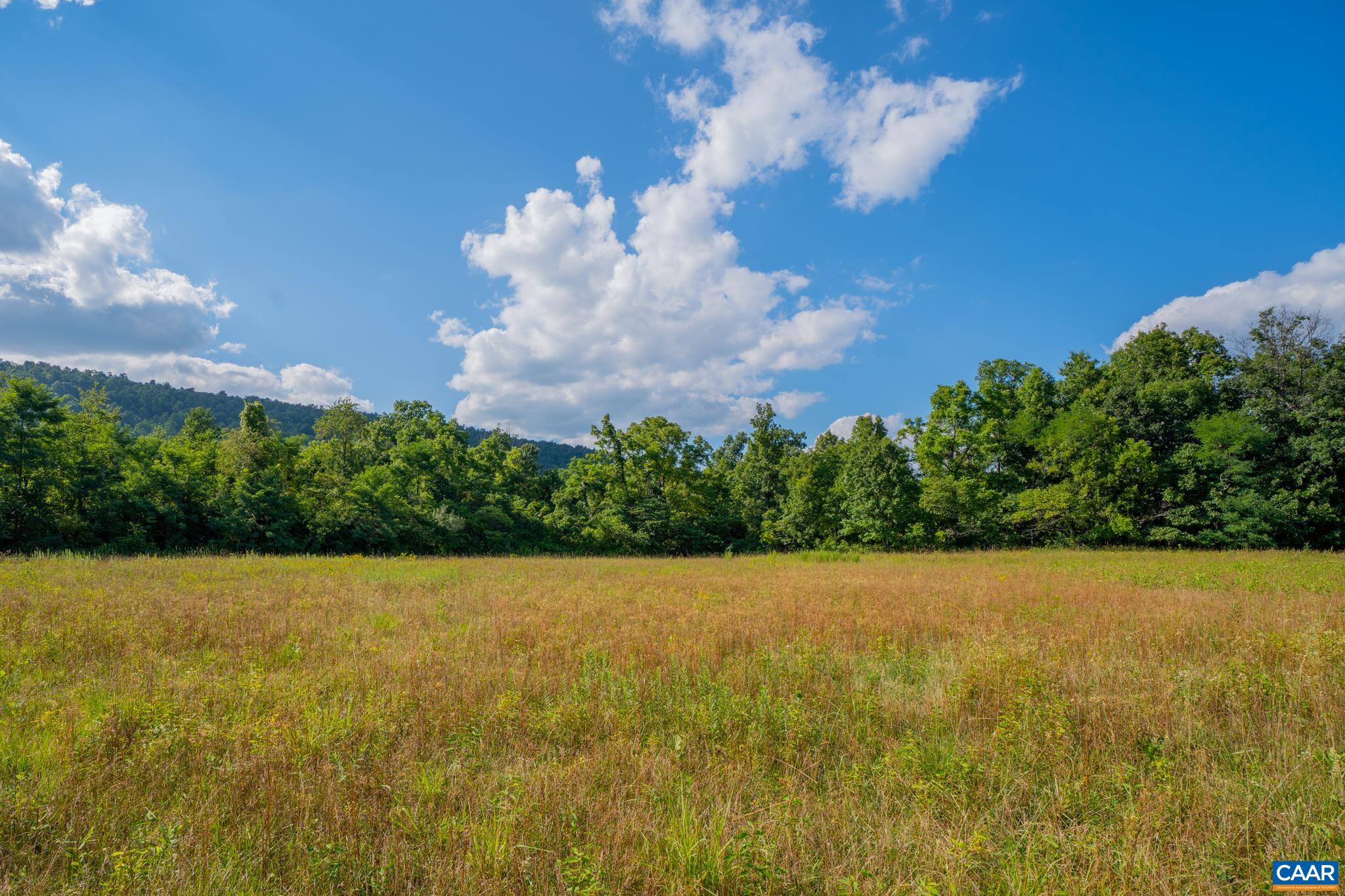 TBD N FROG HOLLOW RD, WINCHESTER, Virginia 22603, ,Farm,TBD N FROG HOLLOW RD,680385 MLS # 680385