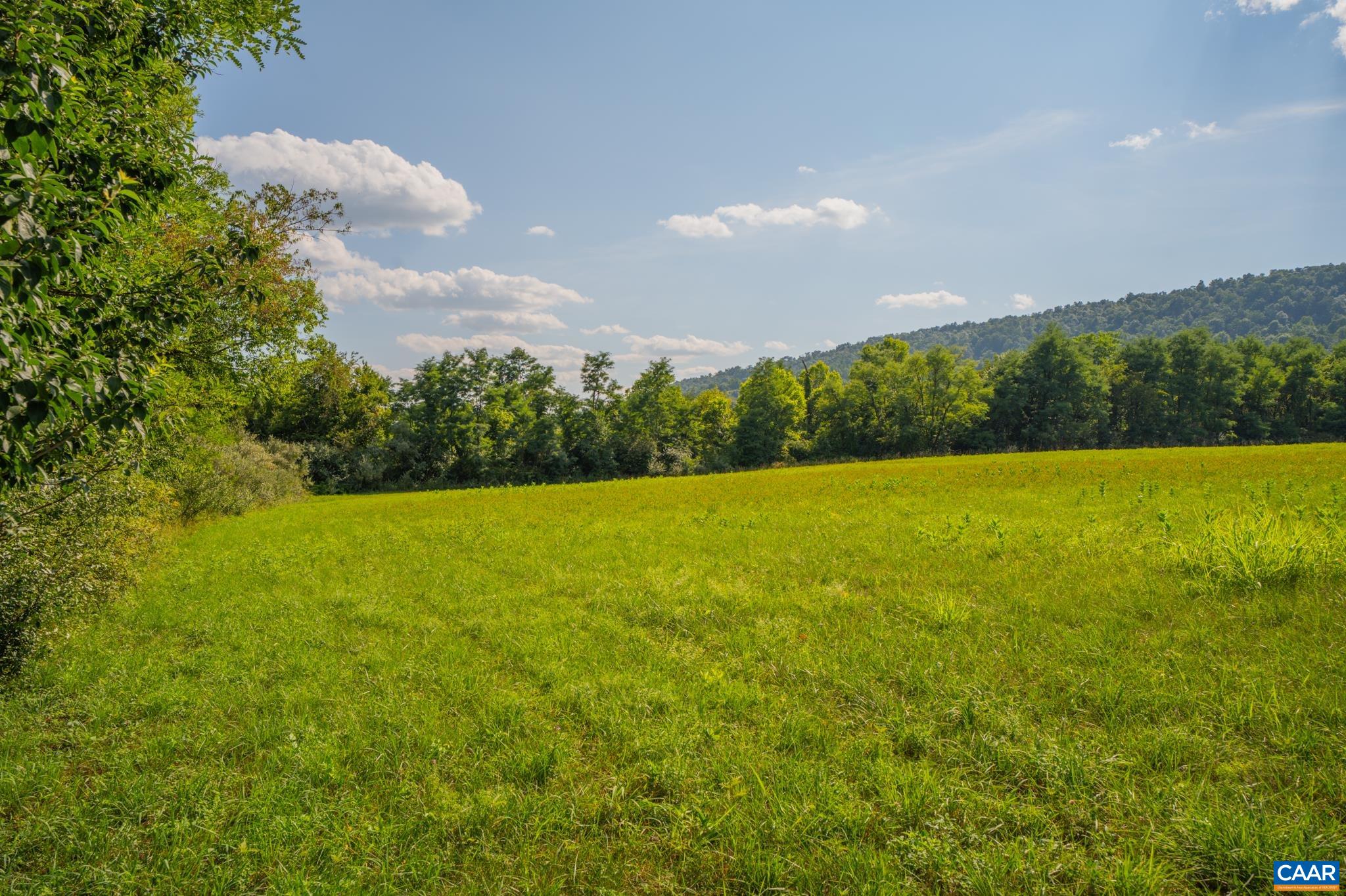 TBD N FROG HOLLOW RD, WINCHESTER, Virginia 22603, ,Farm,TBD N FROG HOLLOW RD,680385 MLS # 680385