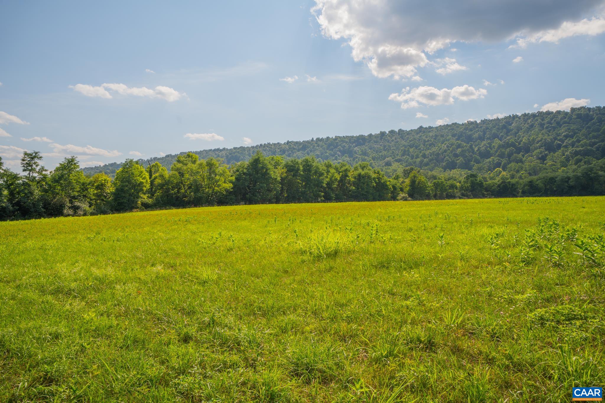 TBD N FROG HOLLOW RD, WINCHESTER, Virginia 22603, ,Farm,TBD N FROG HOLLOW RD,680385 MLS # 680385