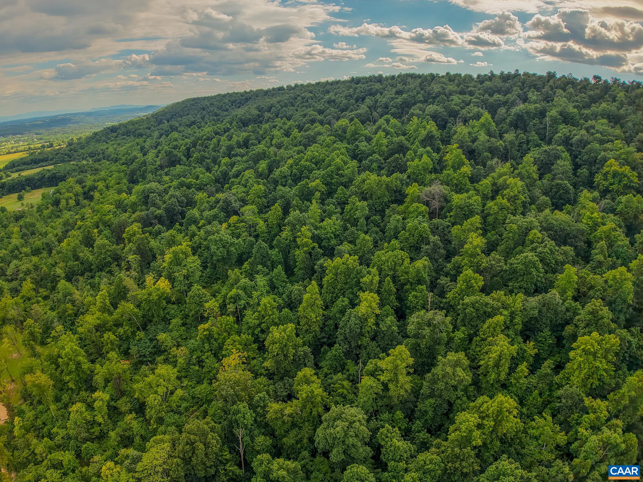 TBD N FROG HOLLOW RD, WINCHESTER, Virginia 22603, ,Farm,TBD N FROG HOLLOW RD,680385 MLS # 680385
