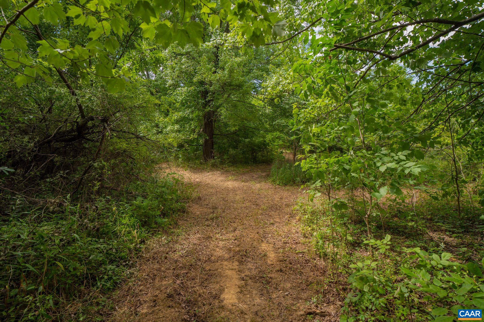 TBD N FROG HOLLOW RD, WINCHESTER, Virginia 22603, ,Farm,TBD N FROG HOLLOW RD,680385 MLS # 680385