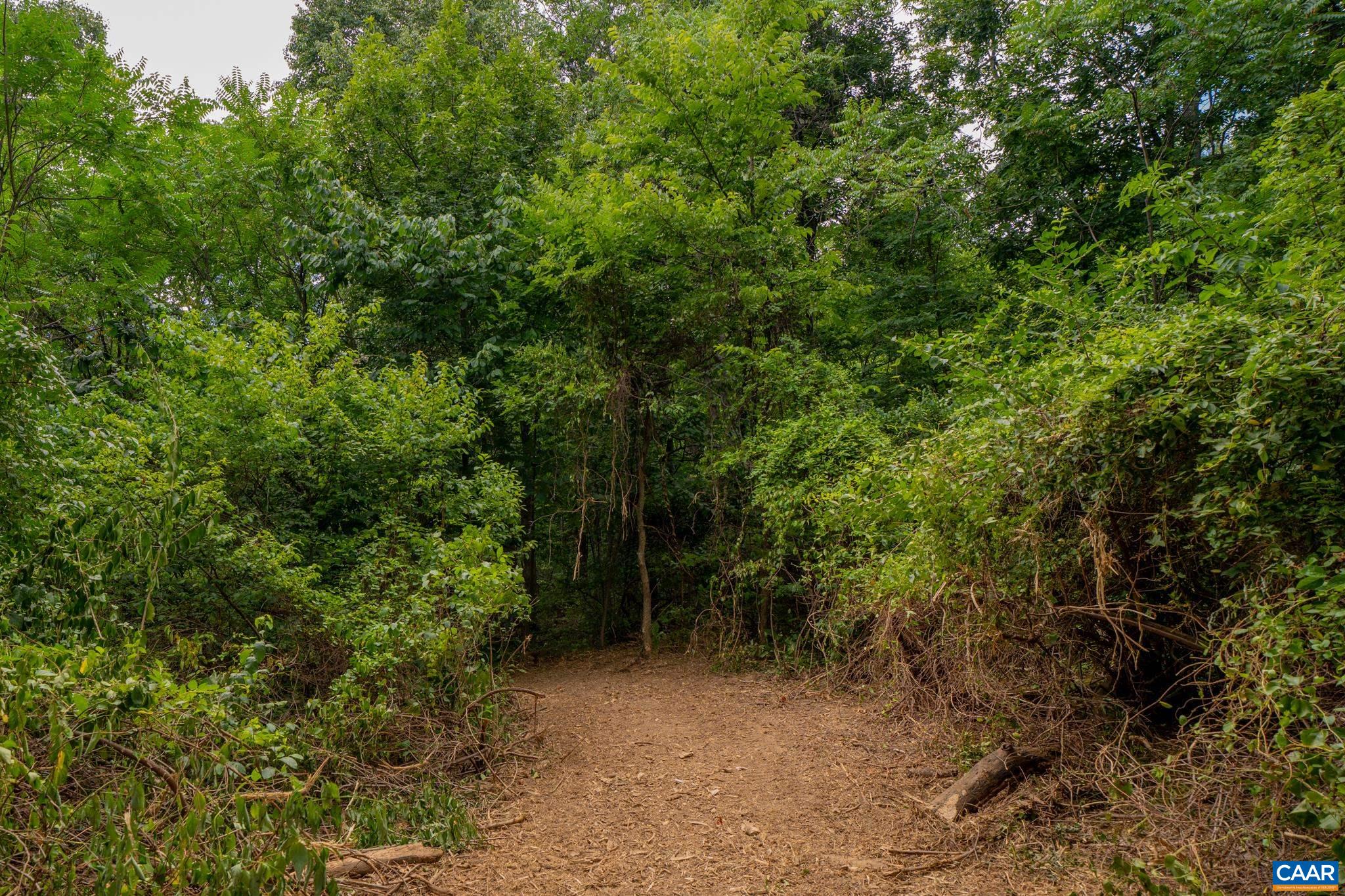 TBD N FROG HOLLOW RD, WINCHESTER, Virginia 22603, ,Farm,TBD N FROG HOLLOW RD,680385 MLS # 680385