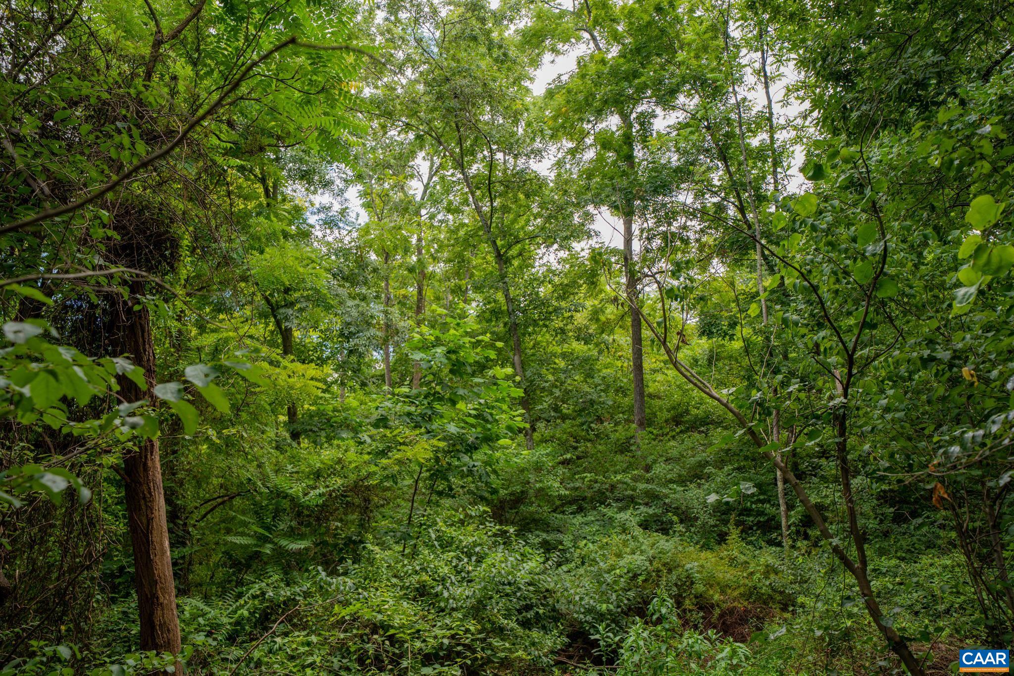 TBD N FROG HOLLOW RD, WINCHESTER, Virginia 22603, ,Farm,TBD N FROG HOLLOW RD,680385 MLS # 680385