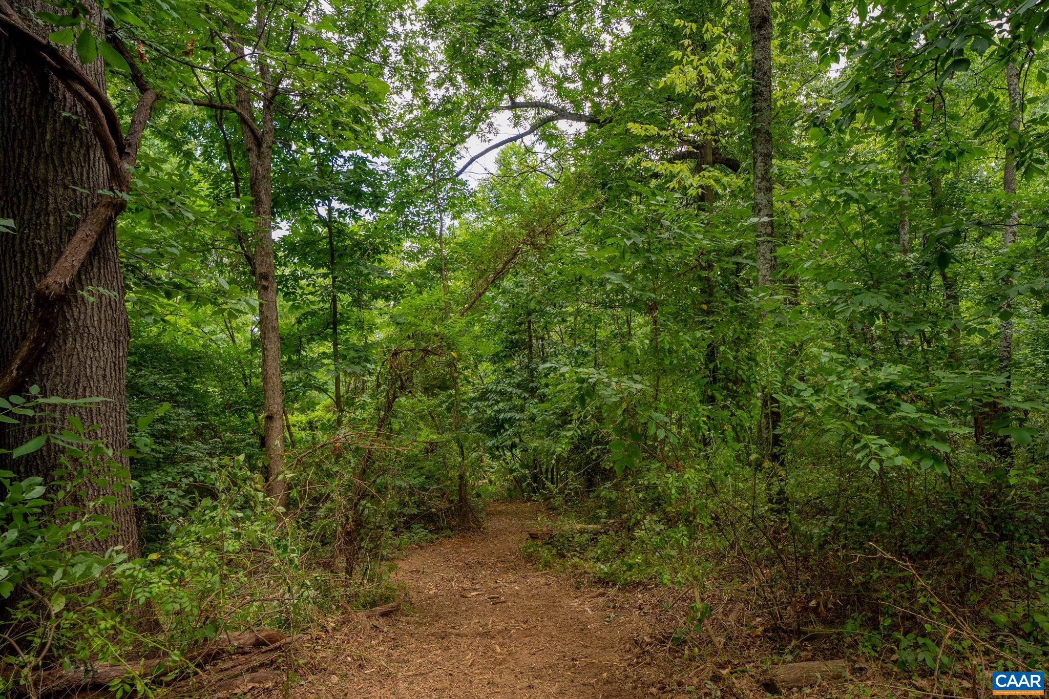 TBD N FROG HOLLOW RD, WINCHESTER, Virginia 22603, ,Farm,TBD N FROG HOLLOW RD,680385 MLS # 680385