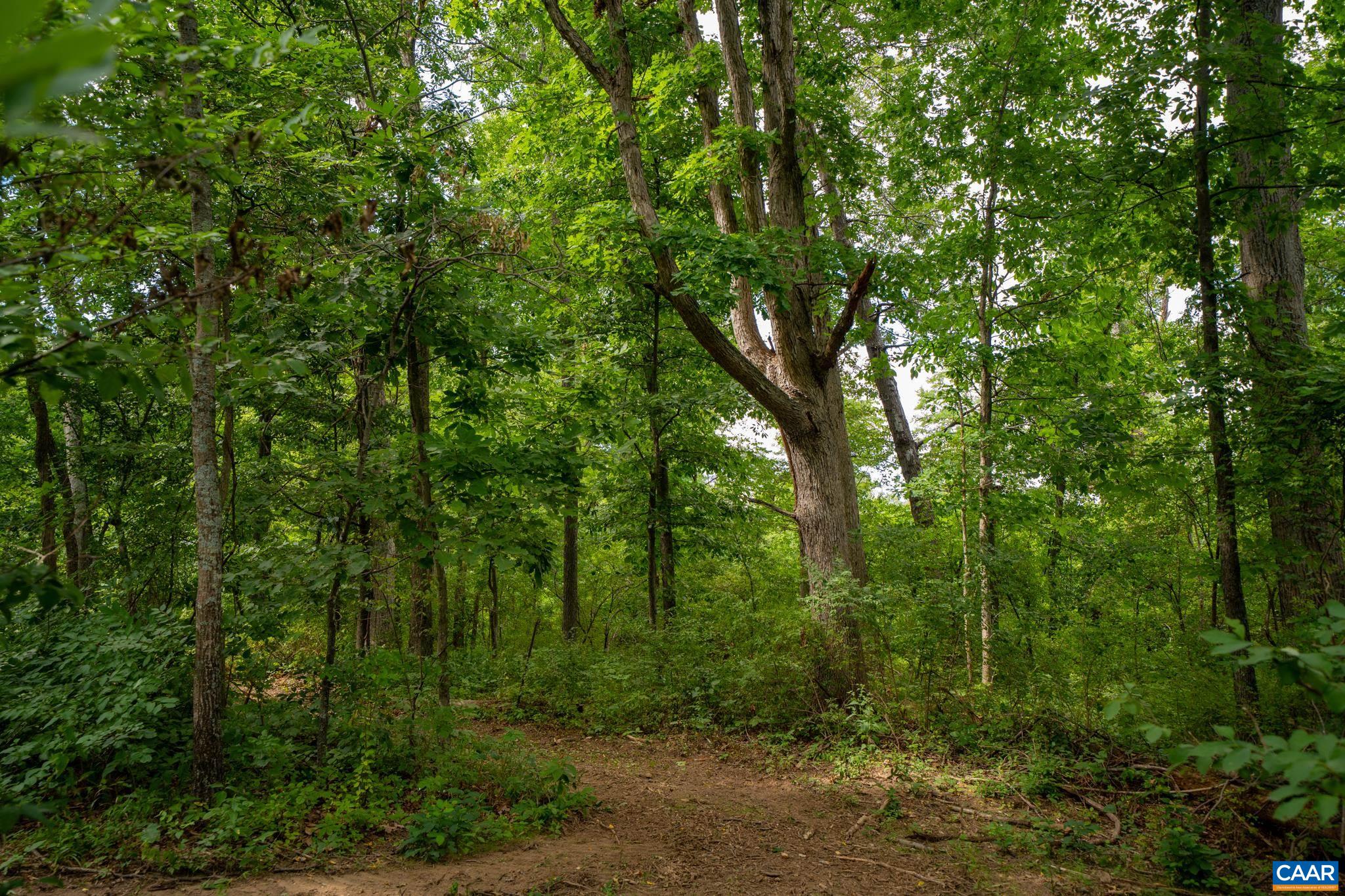 TBD N FROG HOLLOW RD, WINCHESTER, Virginia 22603, ,Farm,TBD N FROG HOLLOW RD,680385 MLS # 680385