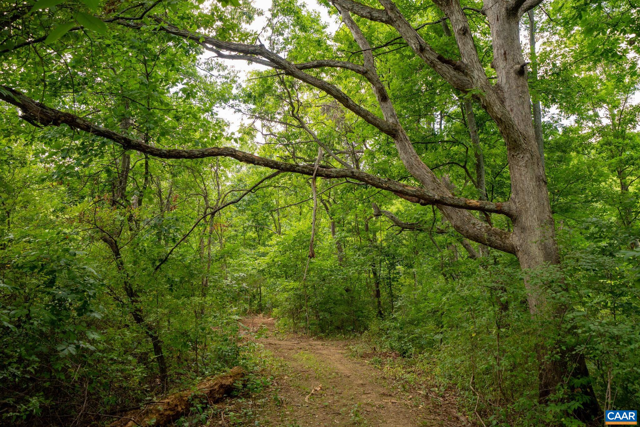 TBD N FROG HOLLOW RD, WINCHESTER, Virginia 22603, ,Farm,TBD N FROG HOLLOW RD,680385 MLS # 680385