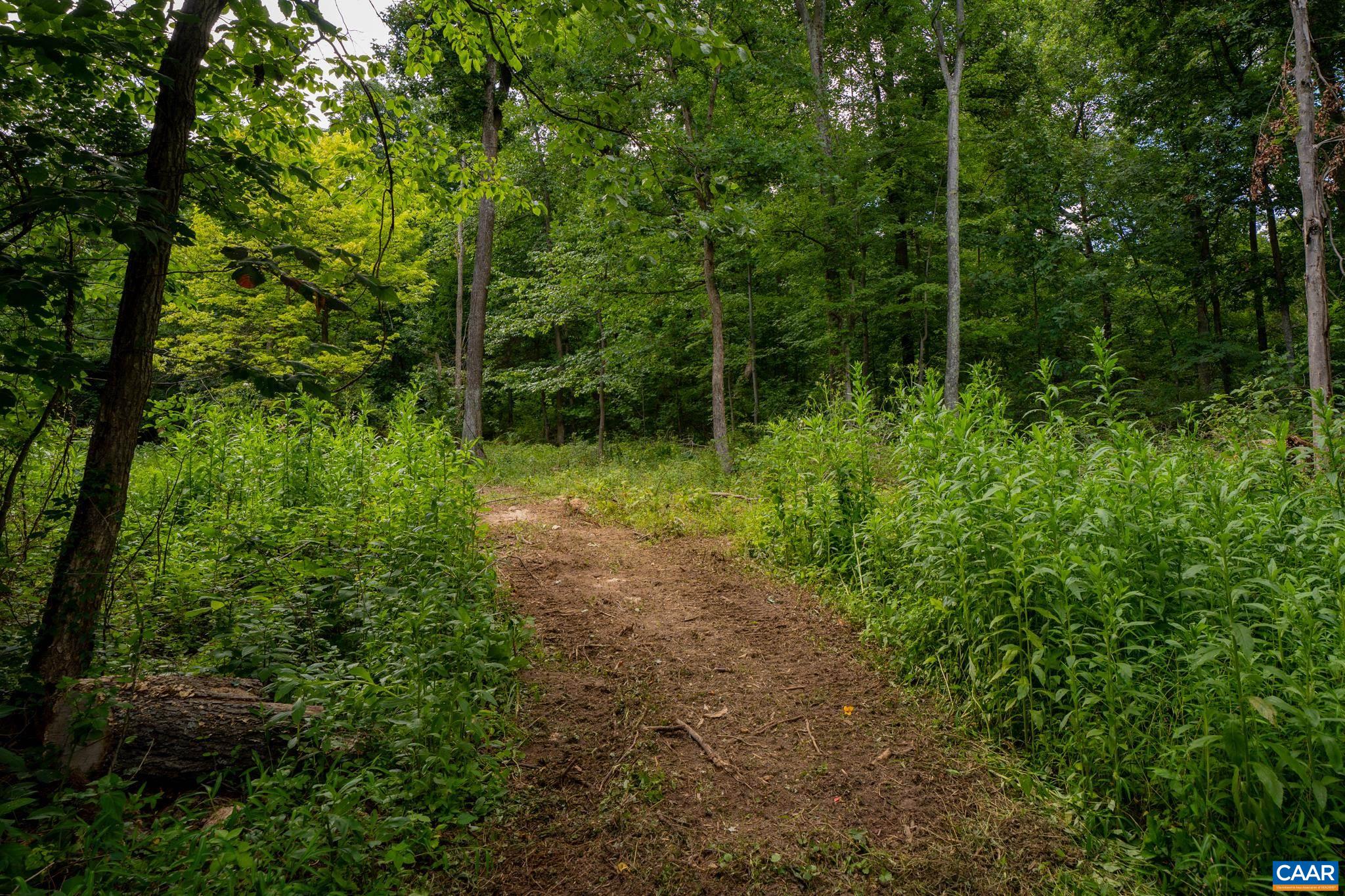 TBD N FROG HOLLOW RD, WINCHESTER, Virginia 22603, ,Farm,TBD N FROG HOLLOW RD,680385 MLS # 680385