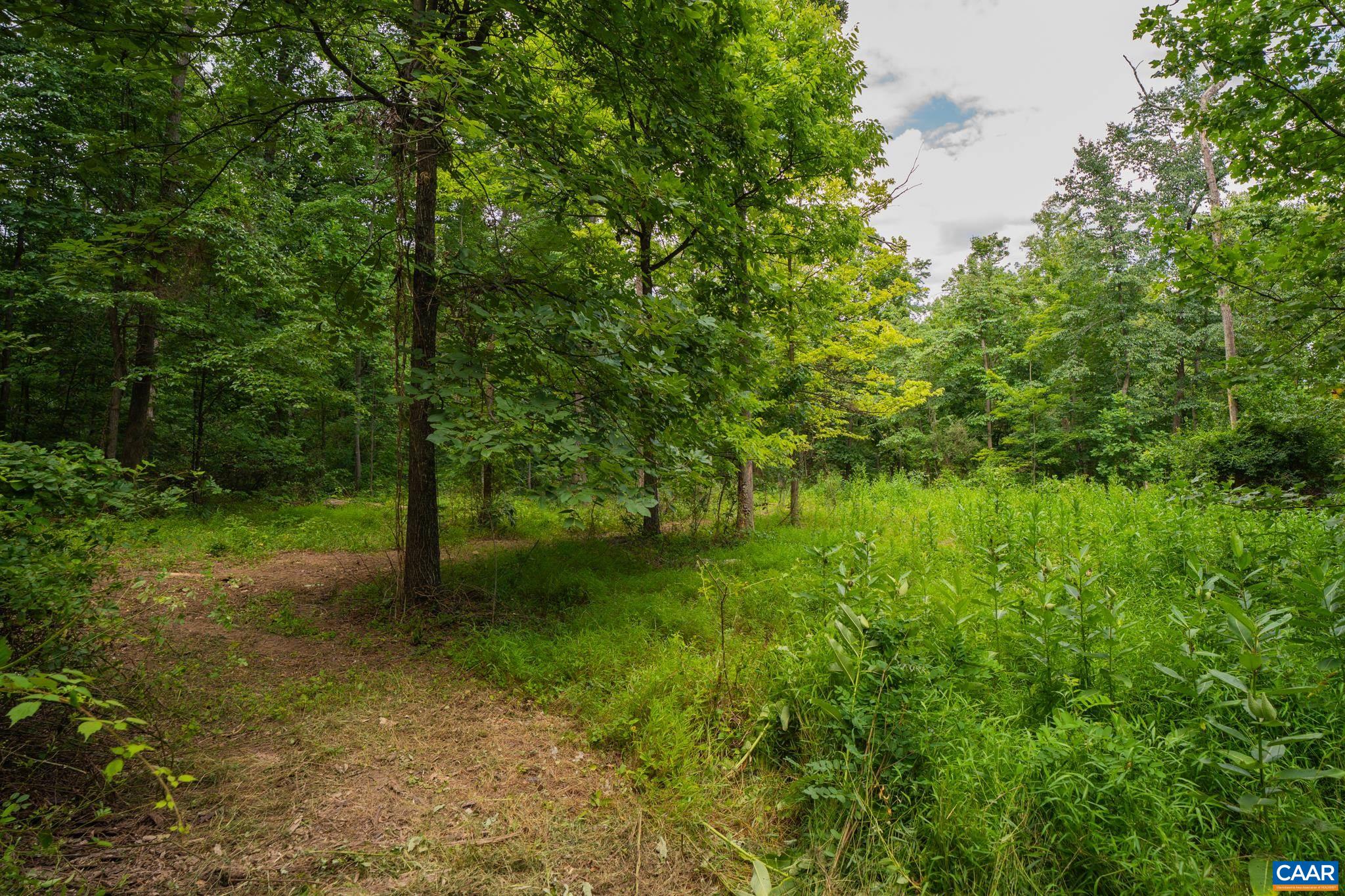 TBD N FROG HOLLOW RD, WINCHESTER, Virginia 22603, ,Farm,TBD N FROG HOLLOW RD,680385 MLS # 680385