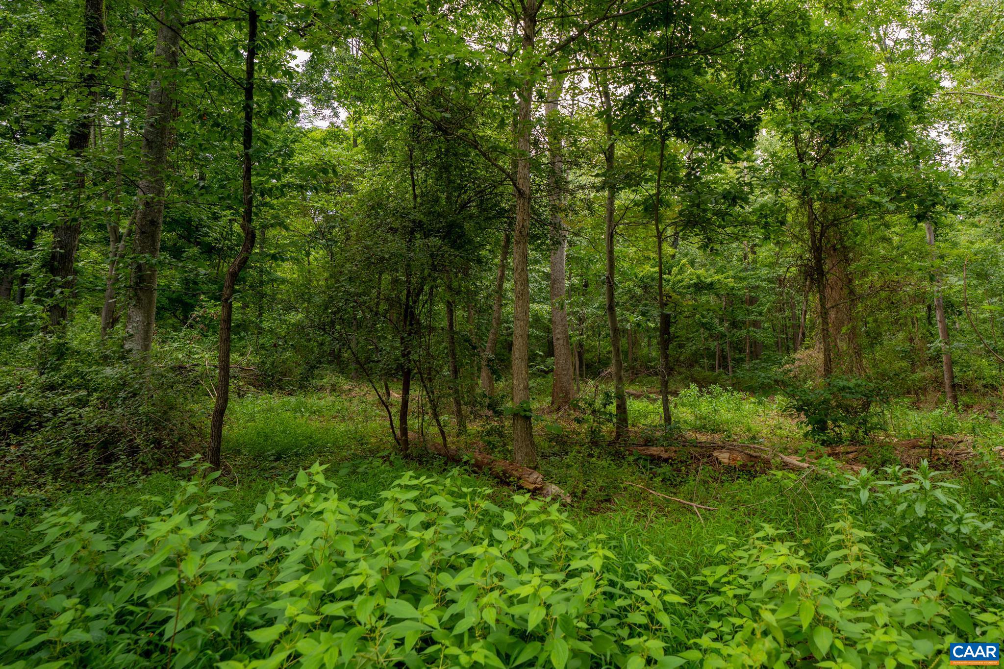 TBD N FROG HOLLOW RD, WINCHESTER, Virginia 22603, ,Farm,TBD N FROG HOLLOW RD,680385 MLS # 680385