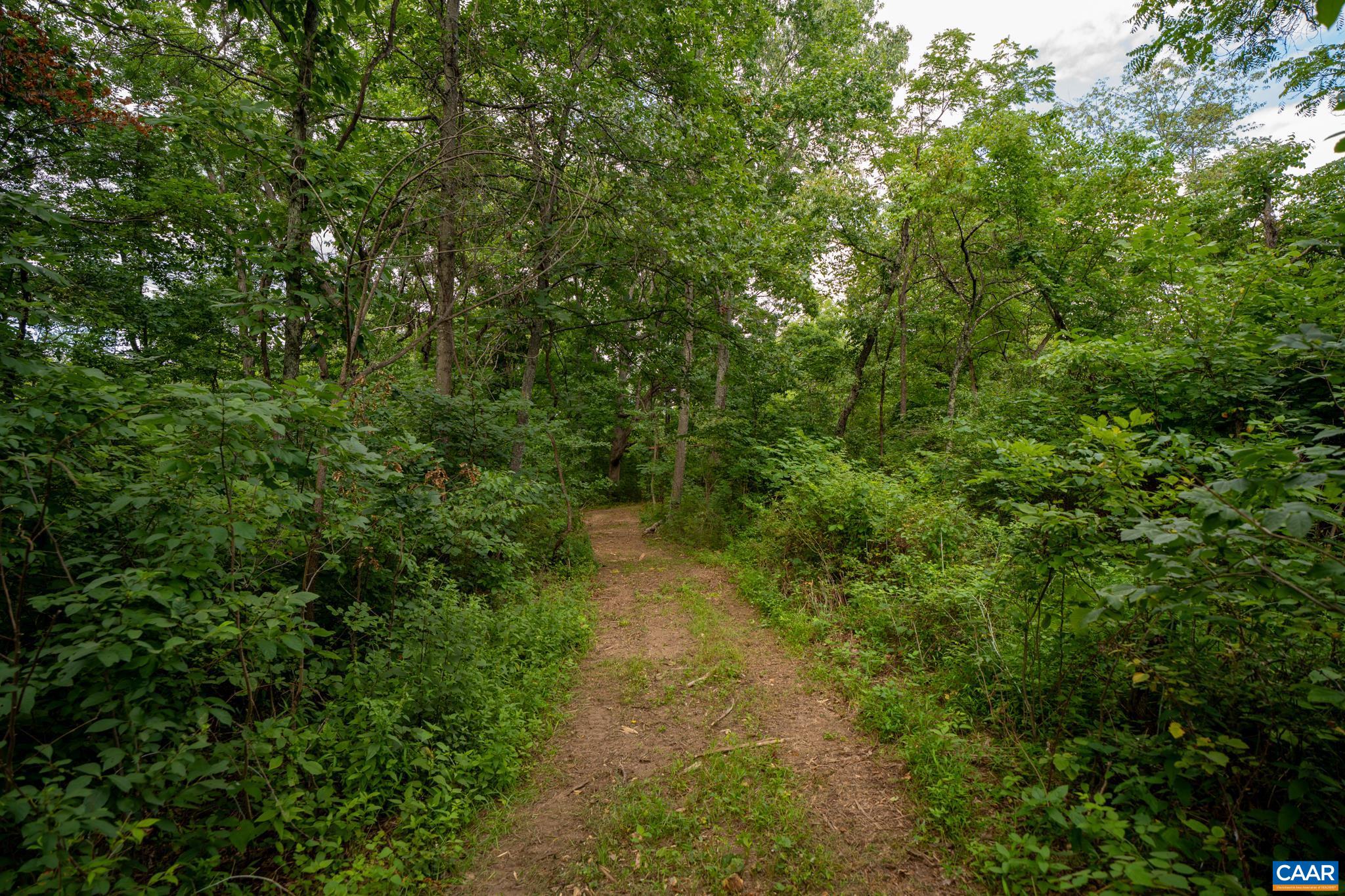 TBD N FROG HOLLOW RD, WINCHESTER, Virginia 22603, ,Farm,TBD N FROG HOLLOW RD,680385 MLS # 680385
